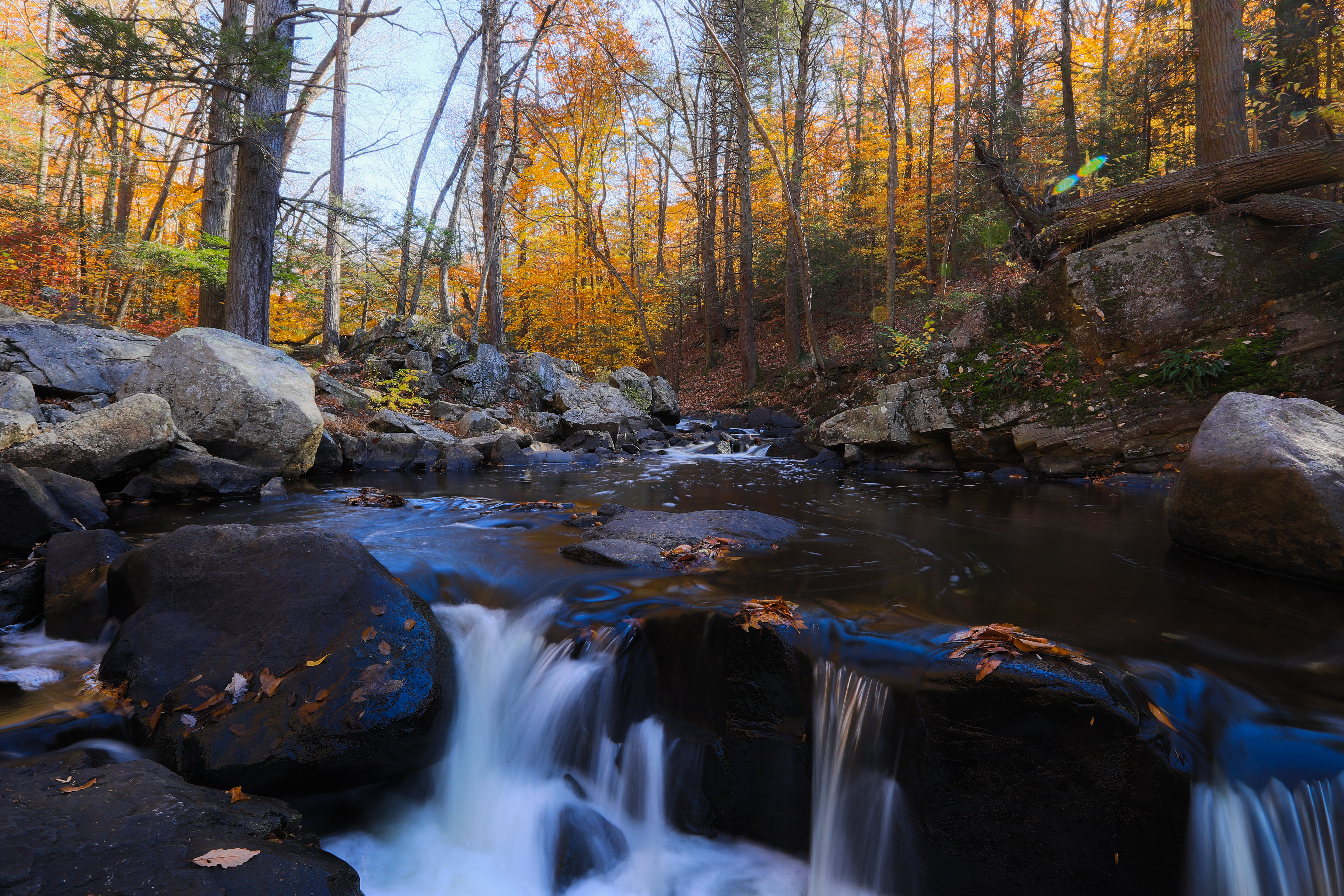 river, Autumn, rock - Object, leaf, Outdoors, waterfall, stream, season, beauty In Nature, NJ, forest, Black River, Hacklebarney State Park, Canon EOS 5D Mark IV, HD Wallpaper