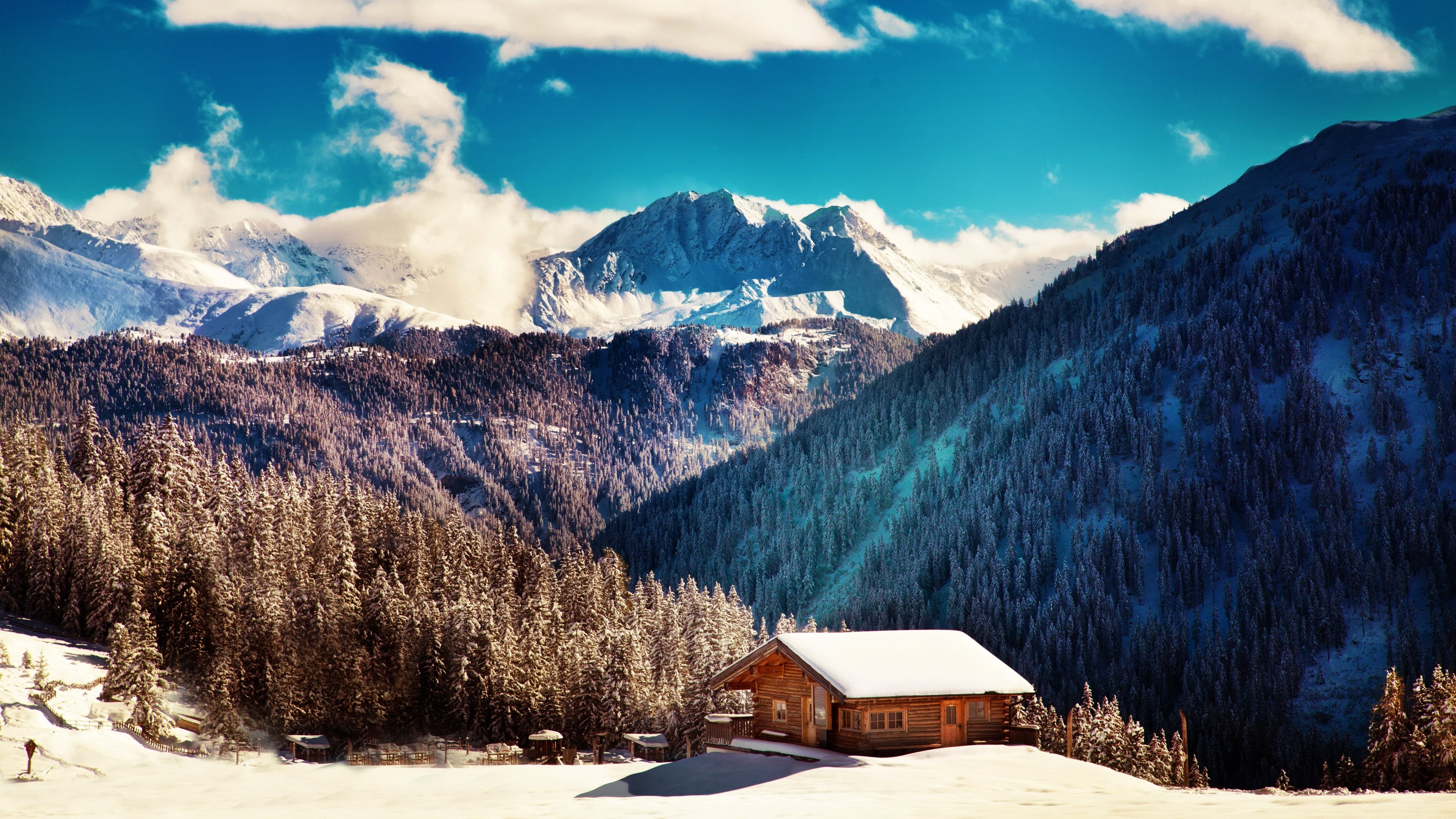 tranquil scene, plant, non-urban scene, winter, snow, tree, beauty in nature, snowcapped mountain, outdoors, 4K, no people, tranquility, scenics - nature, HD Wallpaper