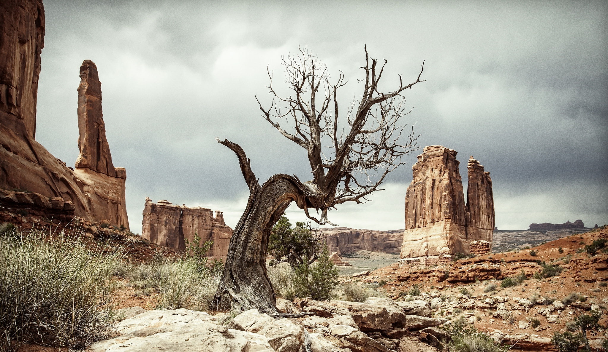 travel destinations, tranquil scene, overcast, remote, arid climate, day, nature, dead plant, 1080P, bare tree, rock, outdoors, tranquility, landscape, HD Wallpaper