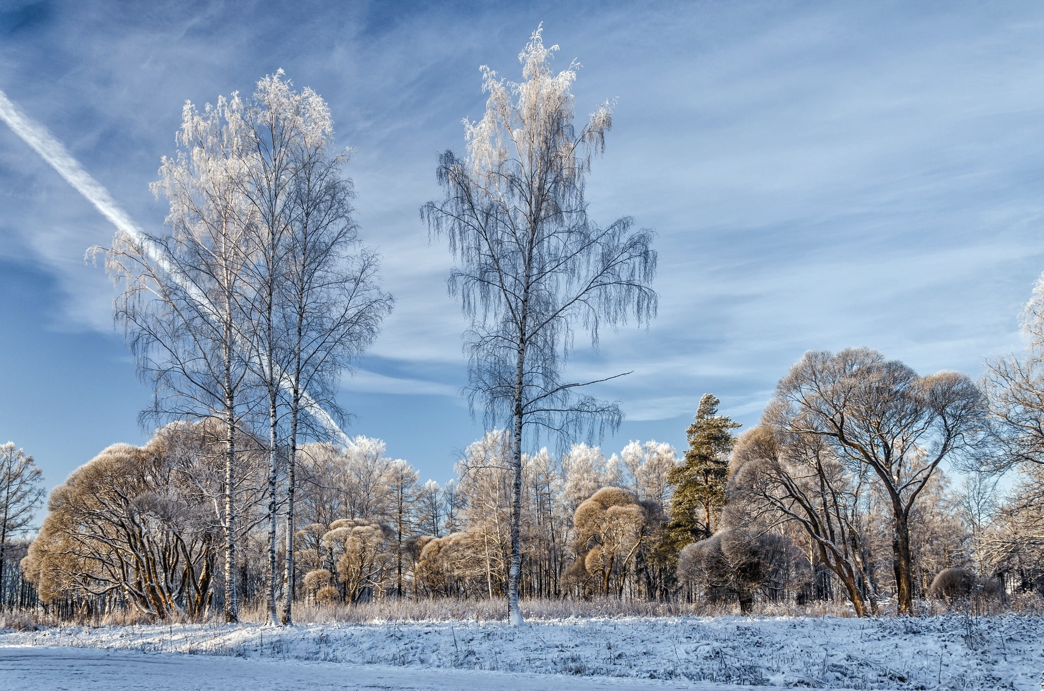 nature, field, contrails, non-urban scene, land, dead plant, cold temperature, snow, cloud - sky, scenics - nature, sky, tranquility, tranquil scene, isolated, HD Wallpaper