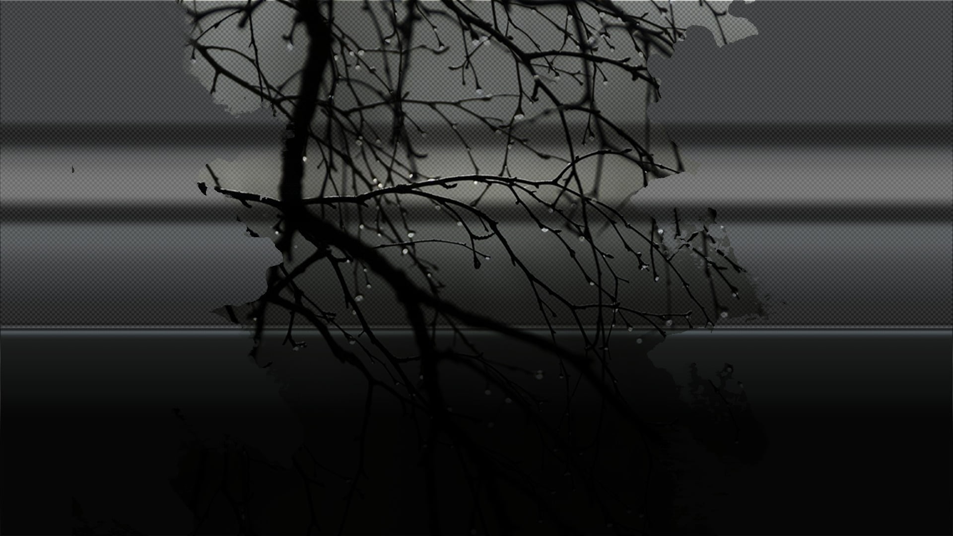 nature, dead plant, twig, carbon fiber , silhouette, metal surface, sky, 1080P, plant, day, focus on foreground, branch, window, no people, bare tree, HD Wallpaper