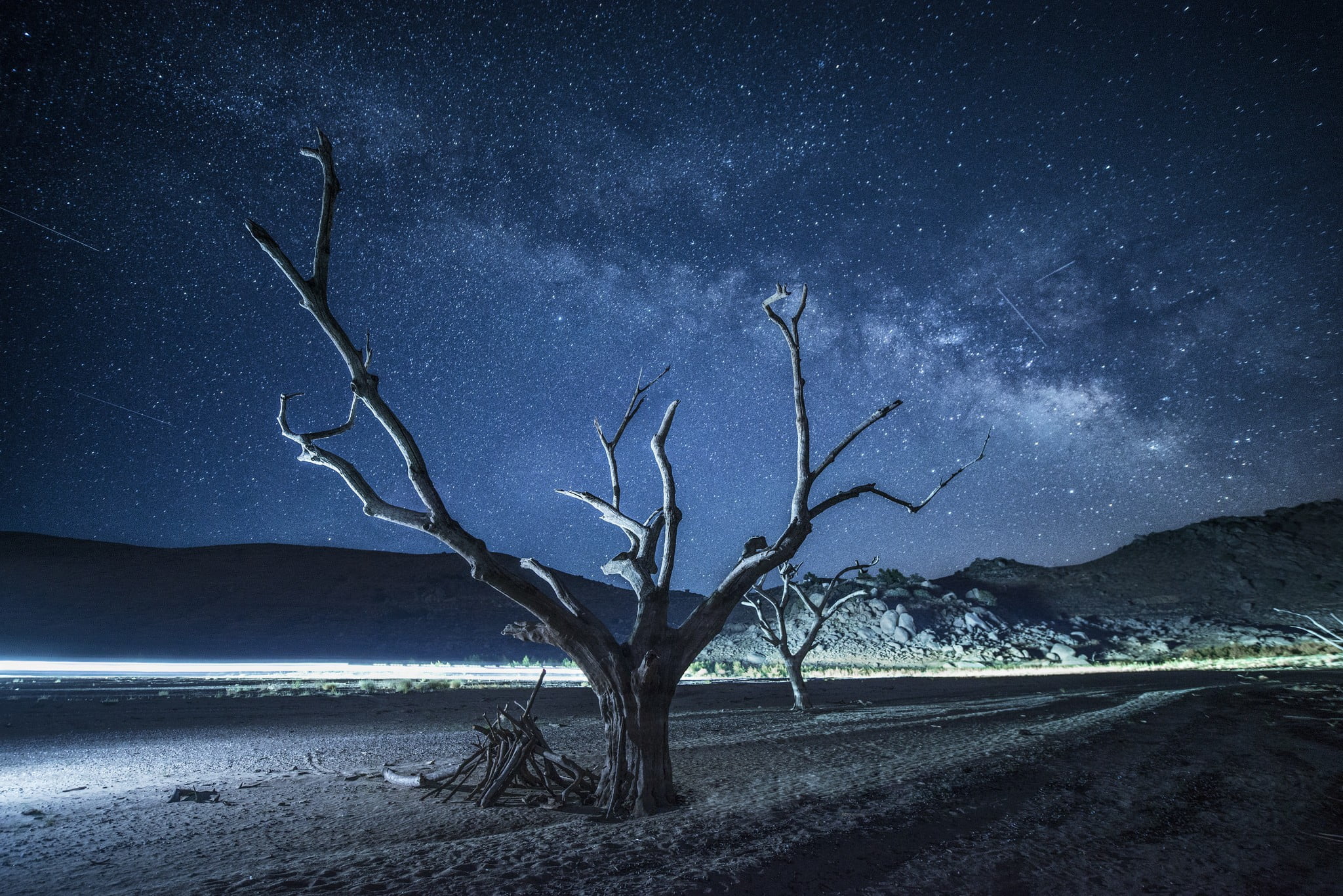 universe, sky, 1080P, environment, arid climate, tranquility, scenics - nature, bare tree, tranquil scene, landscape, trees, no people, galaxy, beauty in nature, HD Wallpaper