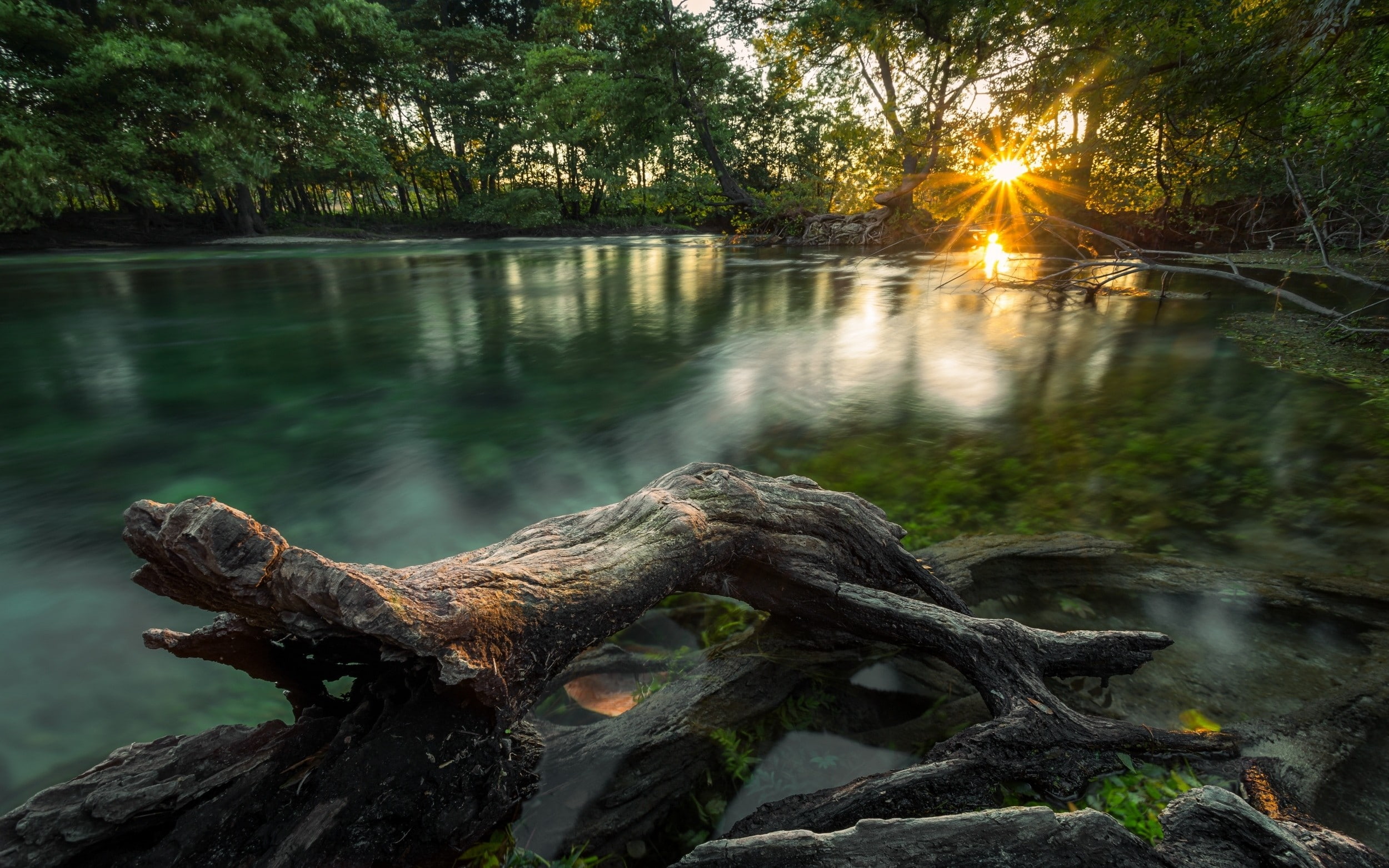log, reflection, tree, no people, tranquility, plant, beauty in nature, sunset, landscape, dead plant, driftwood, sunlight, timber, bark, scenics - nature, HD Wallpaper