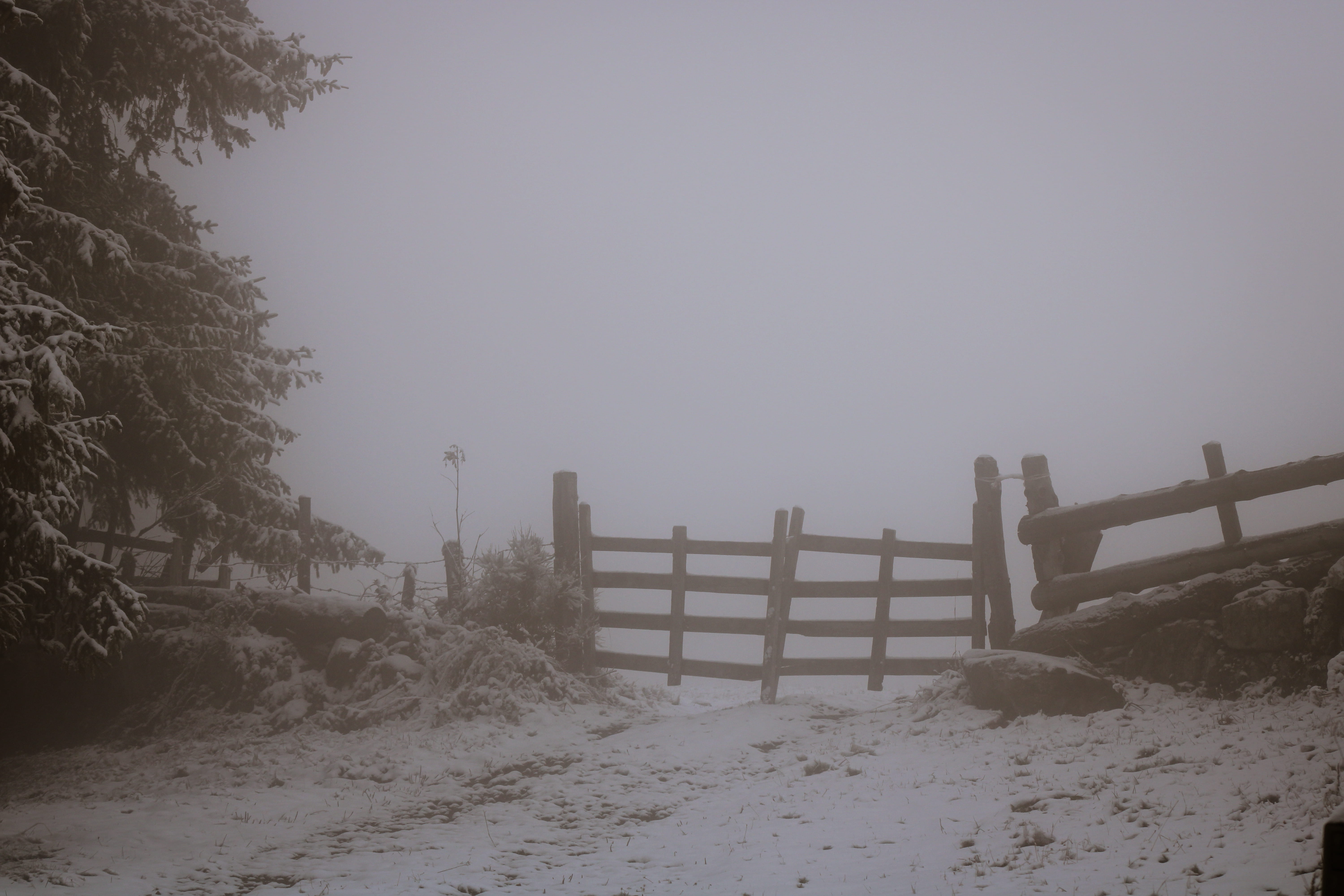 weather, grey, paranormal, nature, no people, barrier, plant, clear sky, beauty in nature, boundary, gate, scary, prat de bouc, day, winter, 5K, france, HD Wallpaper