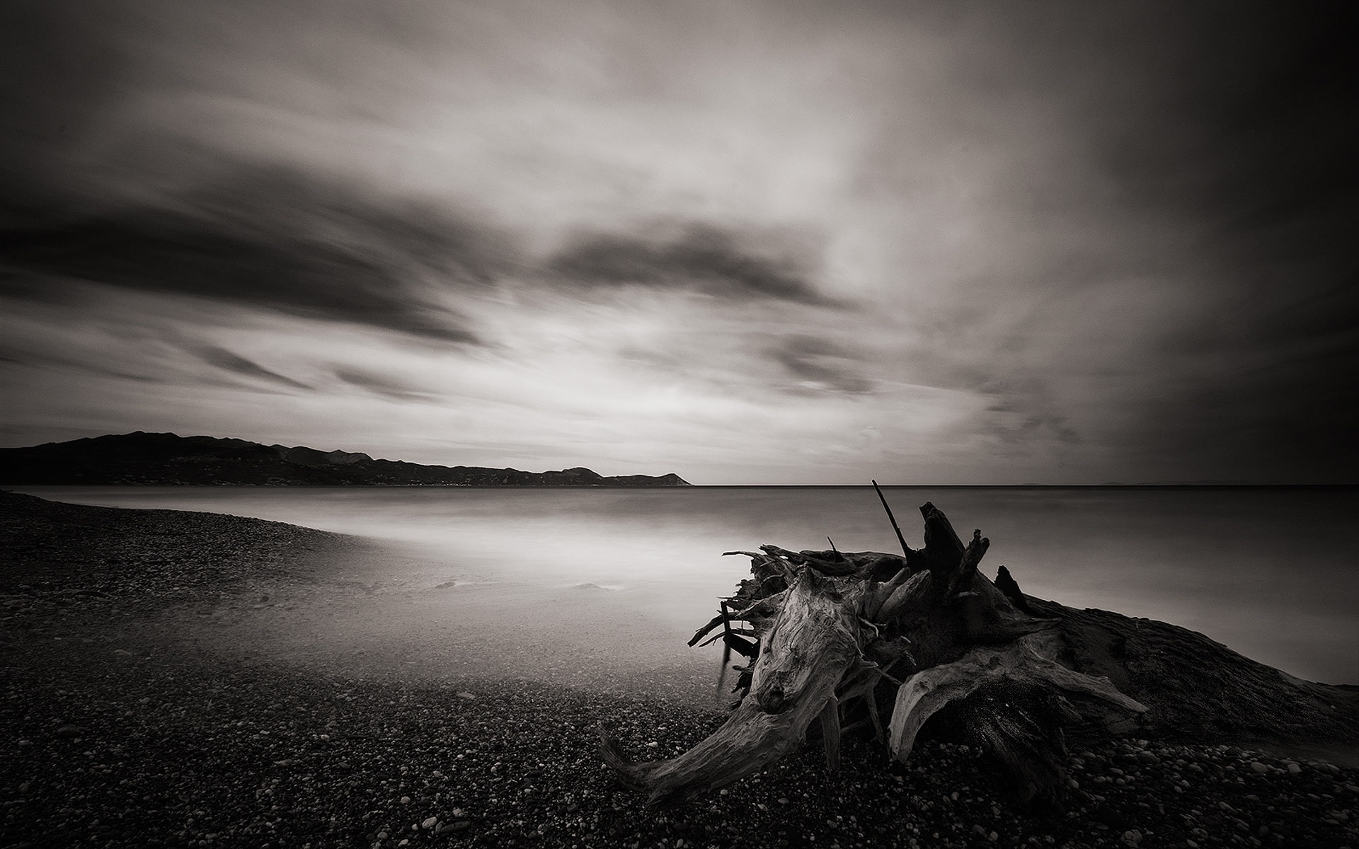 wood, white, sea, 1080P, water, dead, black, view, landscape, HD Wallpaper