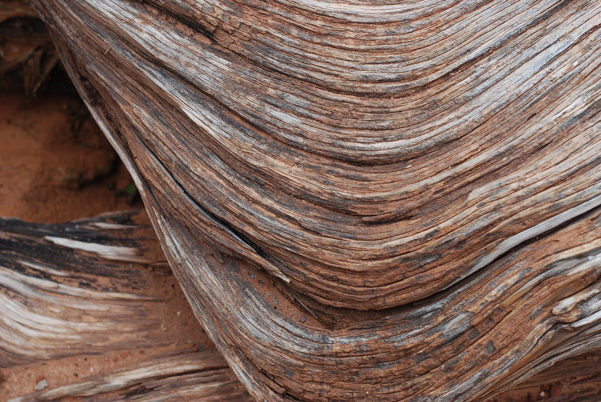 brown, sandstone, natural pattern, grain, grooves, layered, Wood, photography, Wood, day, material, backgrounds, striped, wooden, no people, tree, tree ring, HD Wallpaper