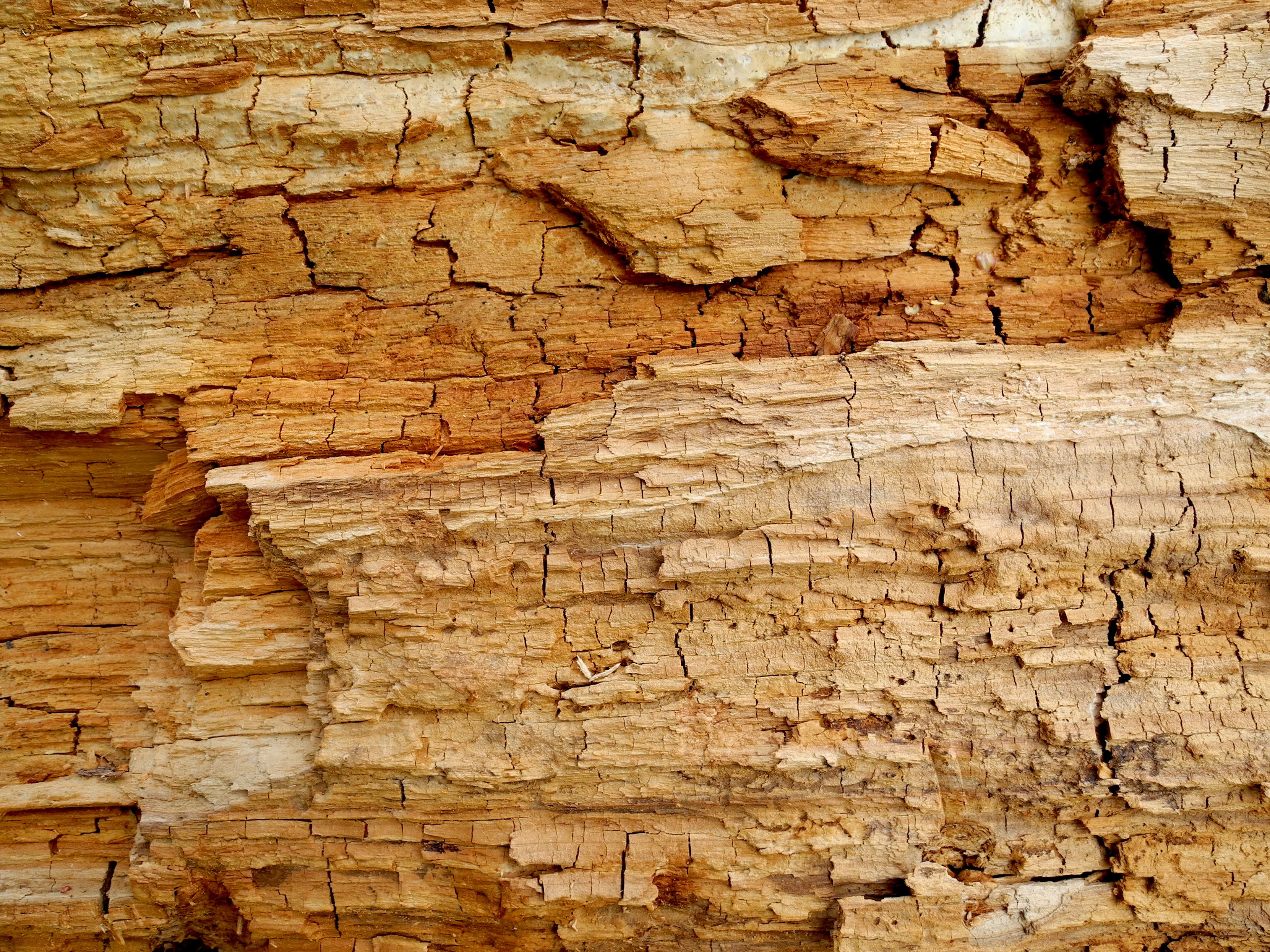 old, outdoors, wood, backgrounds, rock, 2K, wall, pattern, nature, damaged, brown, background, textured, weathered, solid, no people, dead, wood - material, HD Wallpaper
