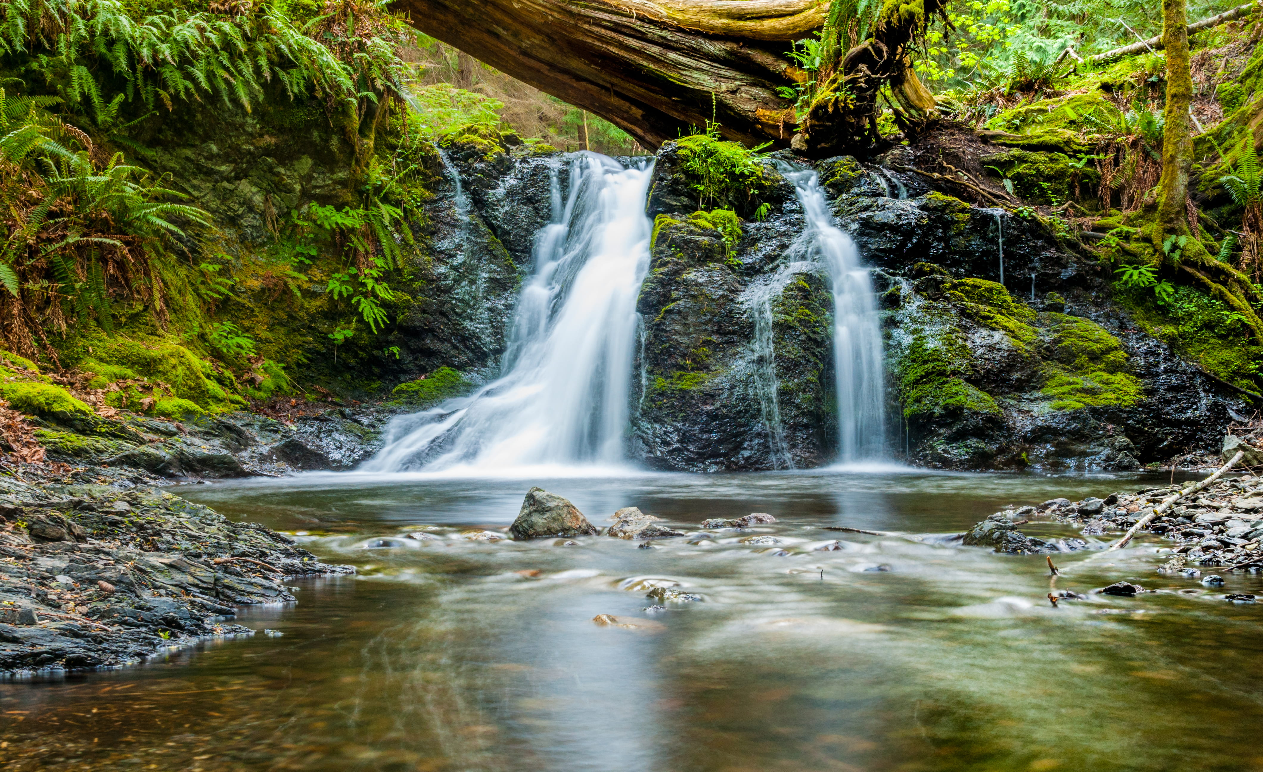 land, long exposure, stream, scenics - nature, green, motion, flowing water, creek, falling water, flowing, blurred motion, outdoors, rock - object, non-urban scene, HD Wallpaper
