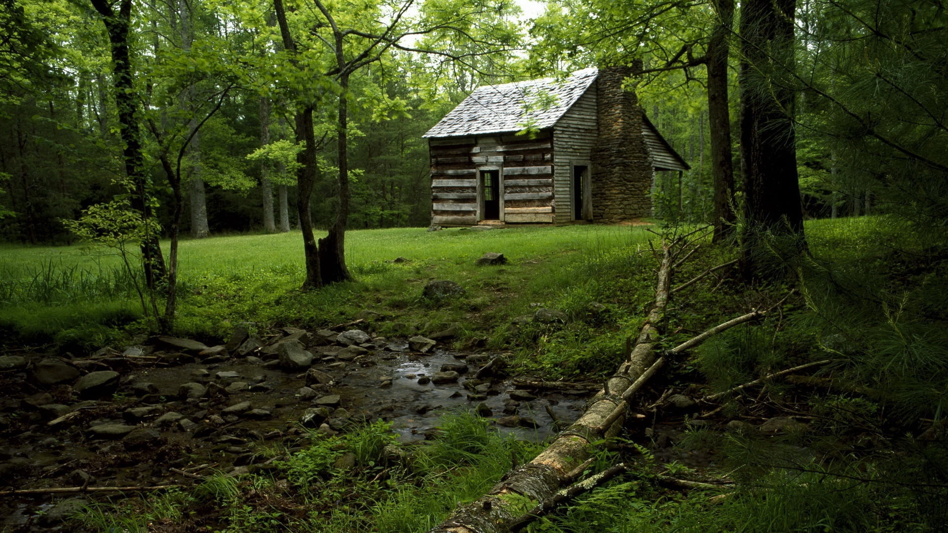 absence, edge, non-Urban Scene, woodland, land, water, broken, wood - Material, growth, glade, architecture And Buildings, forest, plant, scenics, residential district, HD Wallpaper