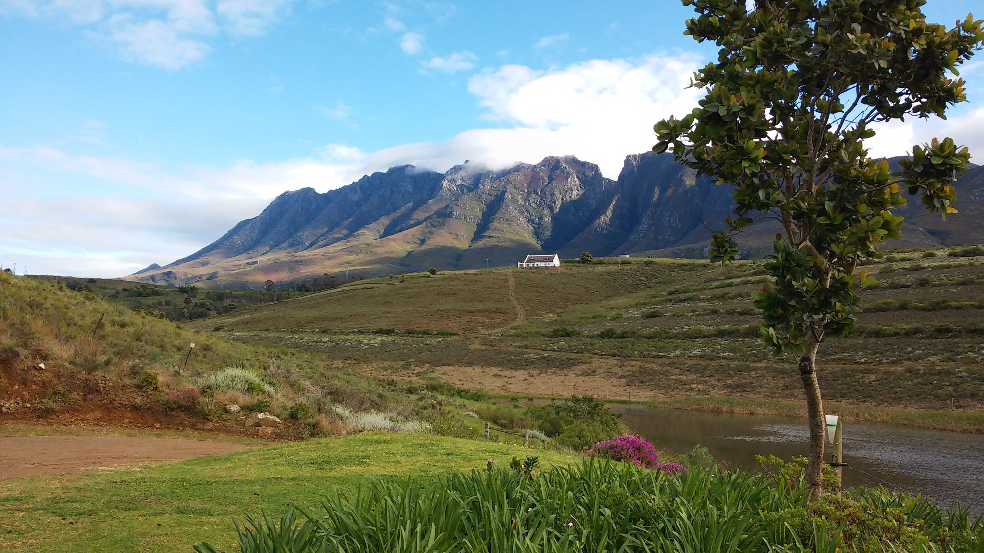 South Africa, environment, Landscape, nature, southern, grass, mountain range, no people, flower, outdoors, scenic, cloud - sky, scenery, beauty in nature, HD Wallpaper