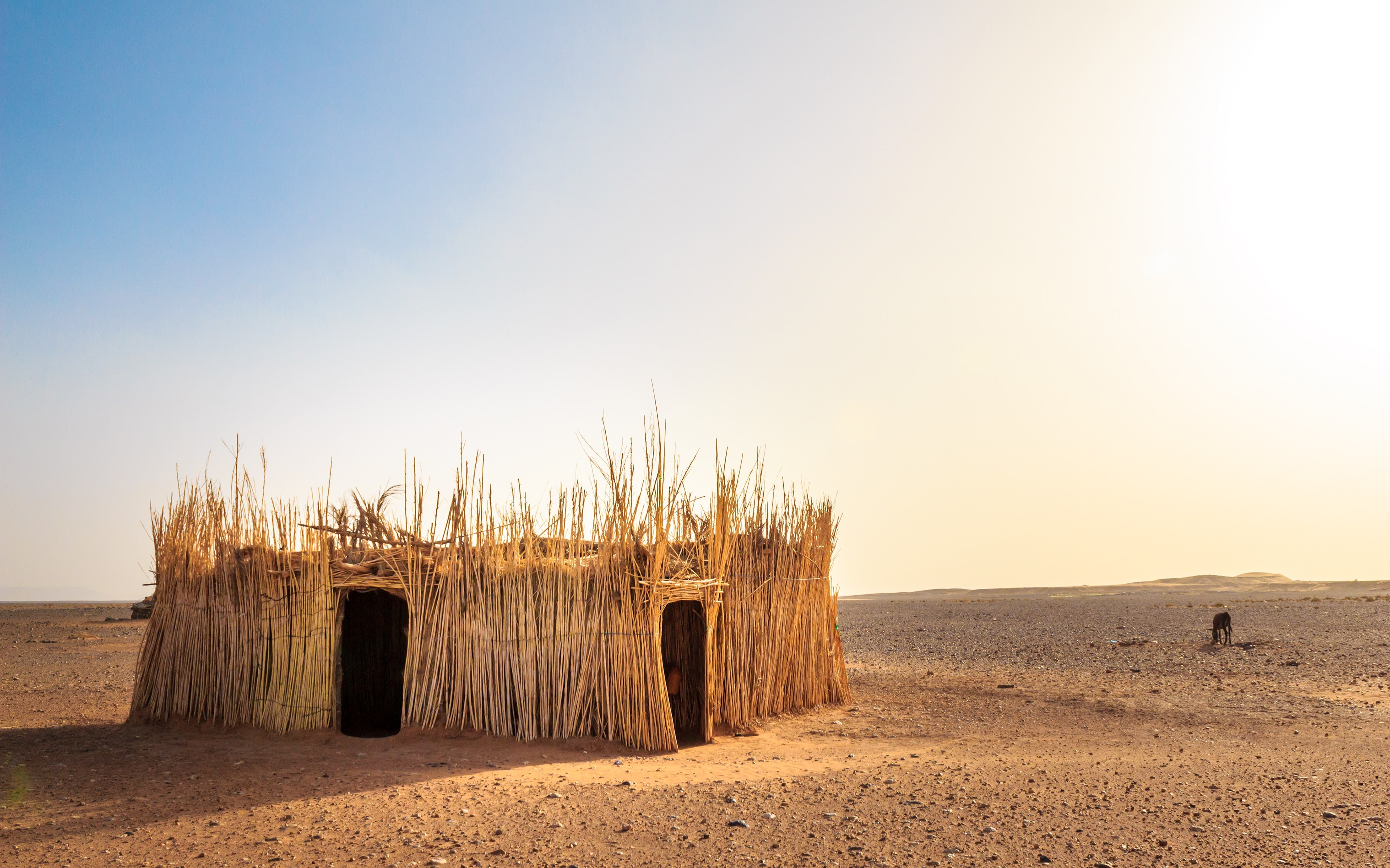 desert, Africa, landscape, 4K, hut, HD Wallpaper