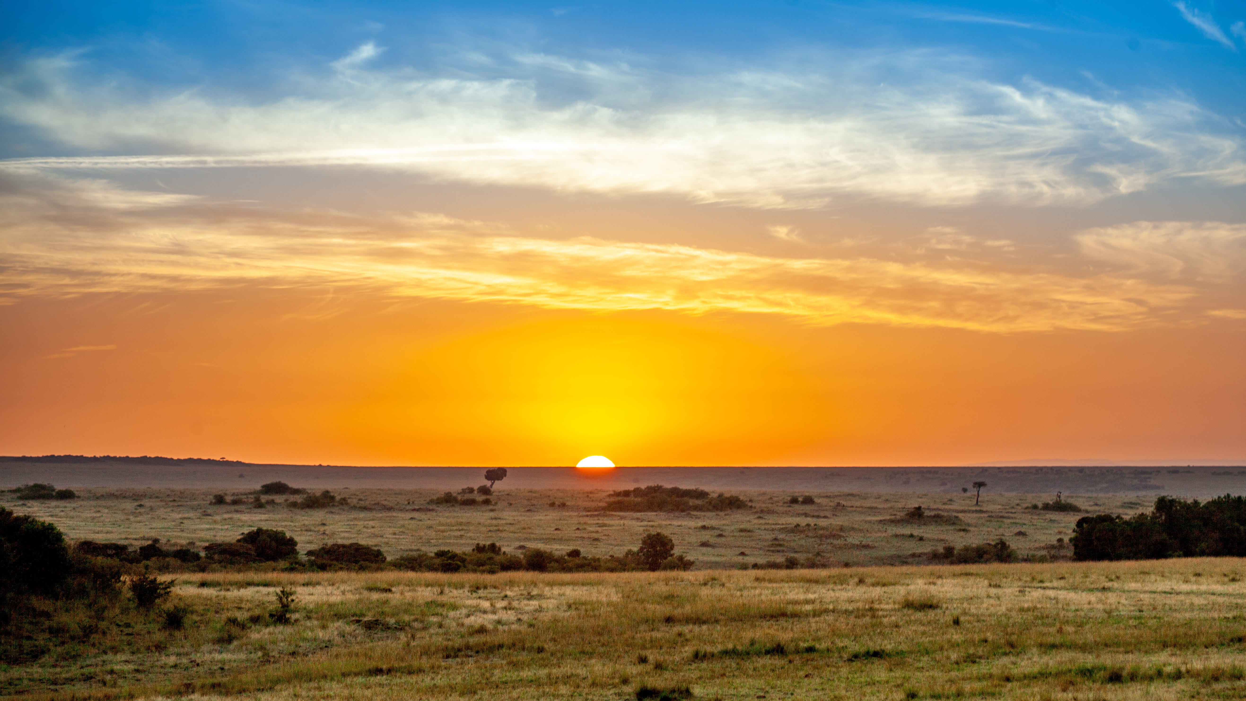 land, cloud - sky, grass, abendstimmung, sea, horizon over water, sunset, horizon, semi-arid, national park, sun, tranquility, tranquil scene, savannah, HD Wallpaper