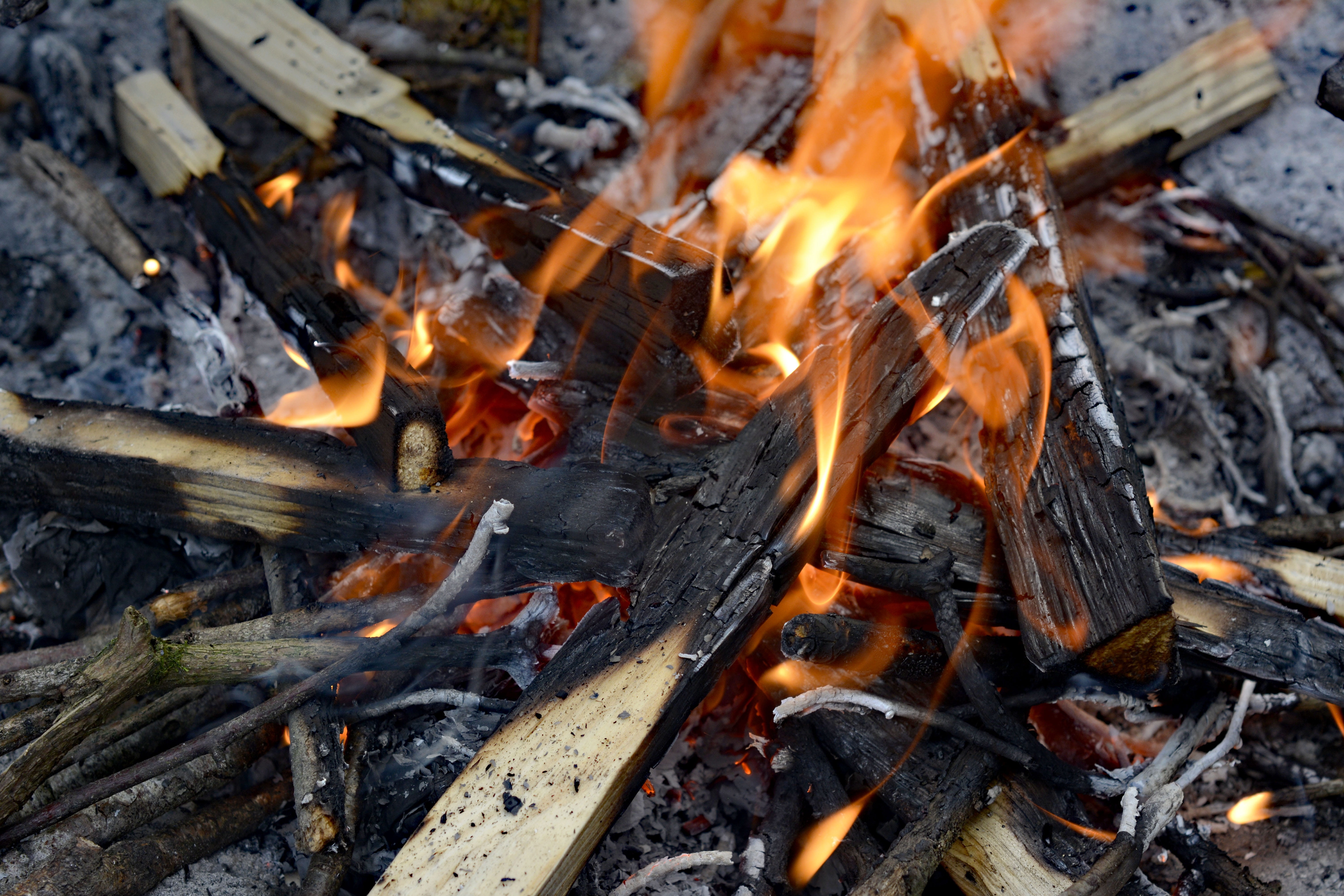 high angle view, embers, glowing, blaze, fireplace, fire - natural phenomenon, wood - material, heat - temperature, day, flame, campfire, wood, motion, HD Wallpaper