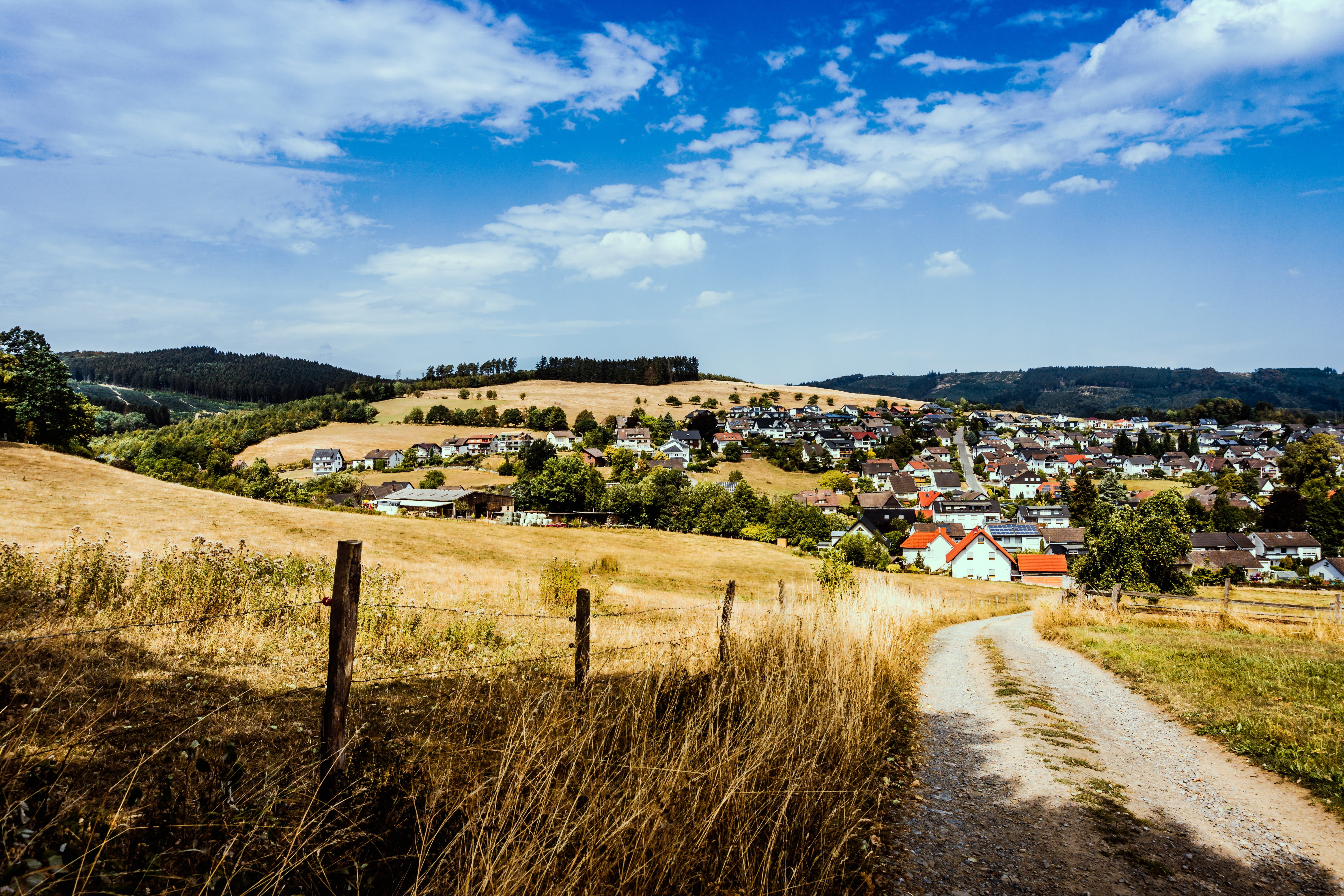 forest, away, road, heiss, dehydrated, building, flowers, cloud - sky, land, field, sauerland, landscape, old, garbeck, day, growth, sky, hiking, grass, HD Wallpaper