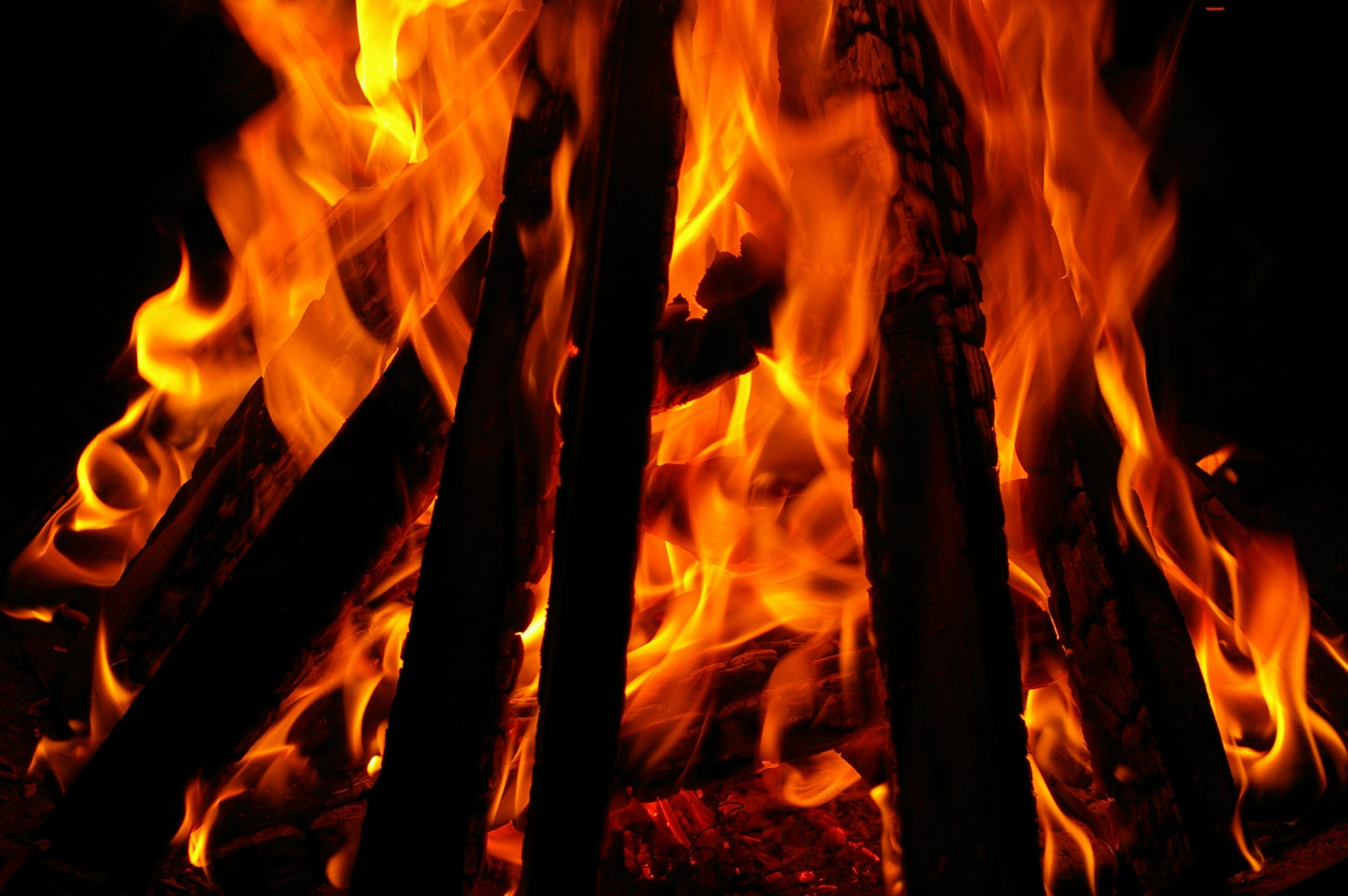 inferno, black, hot, kindle, wood - material, fire - natural phenomenon, background, at night, embers, campfire, celebration, carbon, brand, heiss, wood, HD Wallpaper