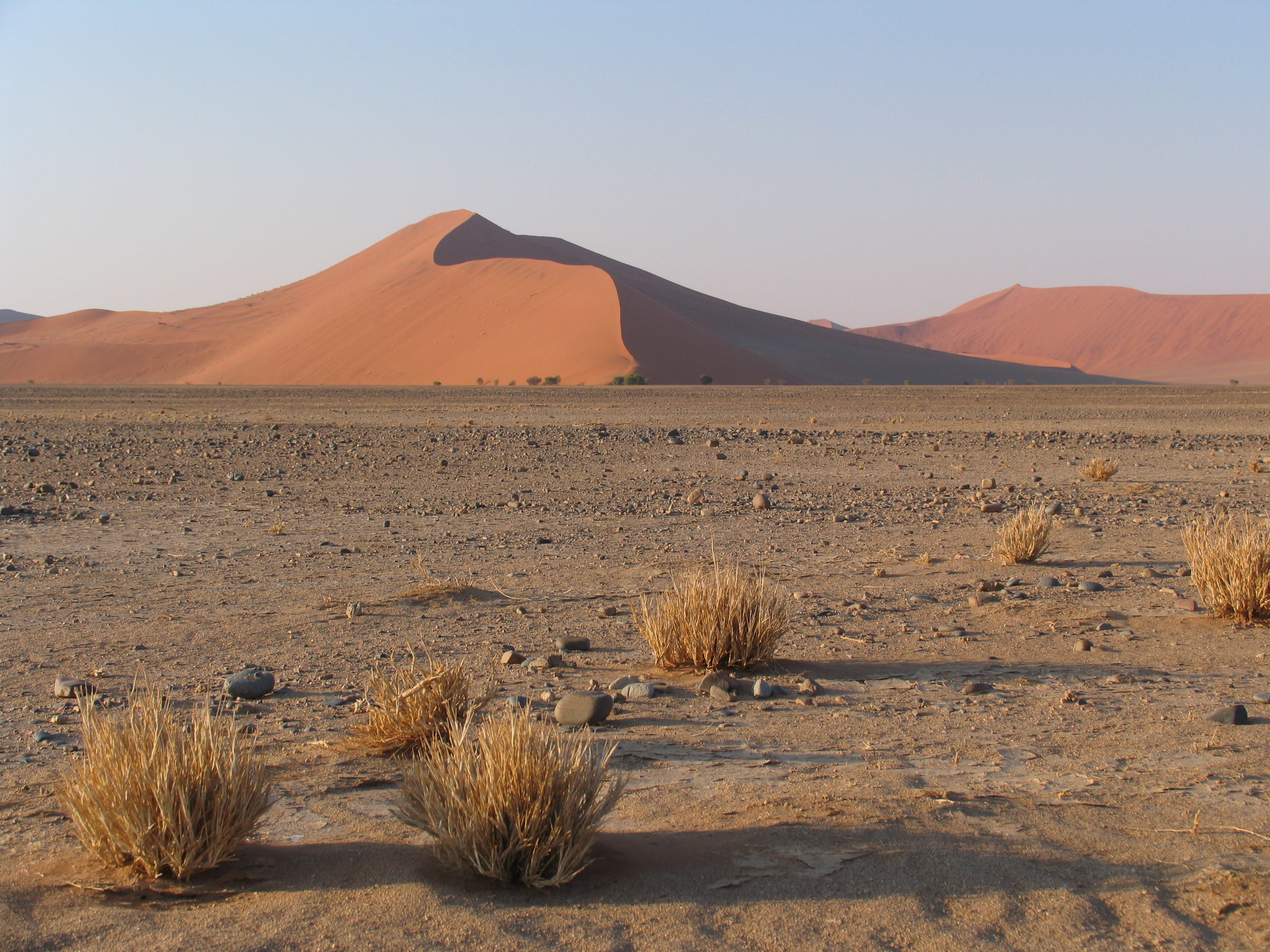 namib, climate, scenics - nature, desert, land, travel, tourism, dune, remote, outdoors, tranquility, africa, 2K, landscape, clear sky, beauty in nature, HD Wallpaper