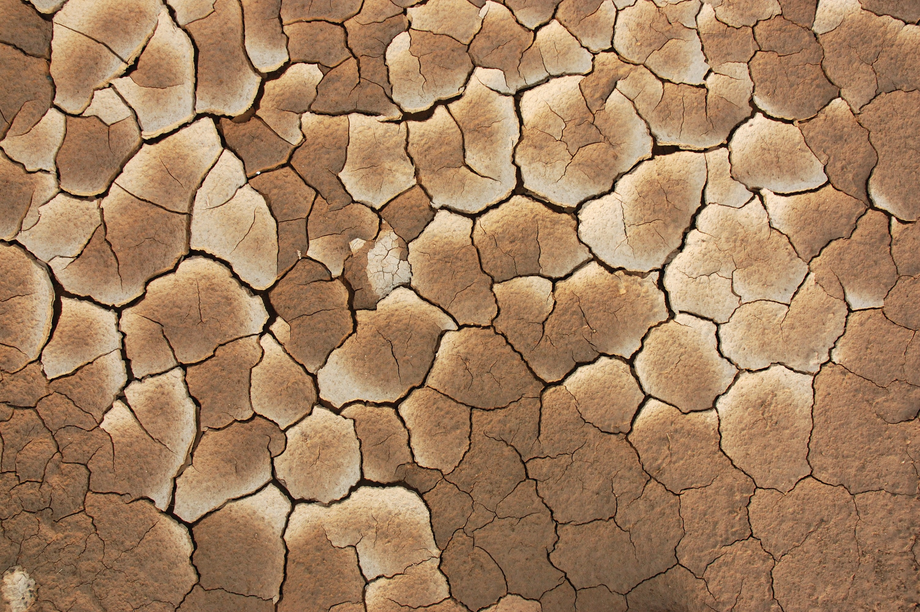 natural pattern, mud, arid climate, texture, barren, outdoors, dry, backgrounds, textured, land, scenics - nature, 2K, no people, full frame, close-up, HD Wallpaper