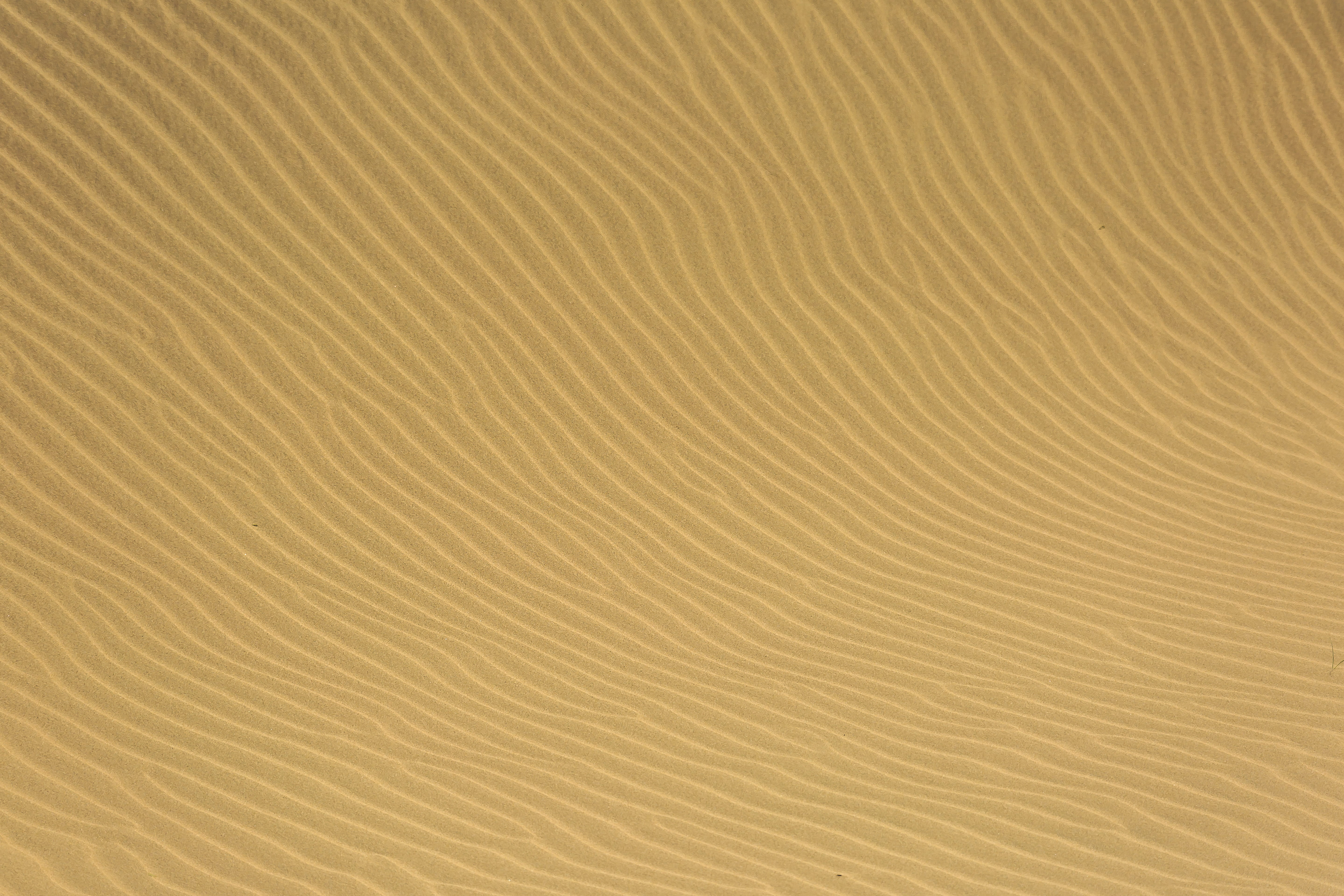 sand, scenic, pattern, outdoors, wave pattern, tranquility, dry, sandy, wasteland, dune, beach, backgrounds, beauty in nature, natural pattern, climate, HD Wallpaper