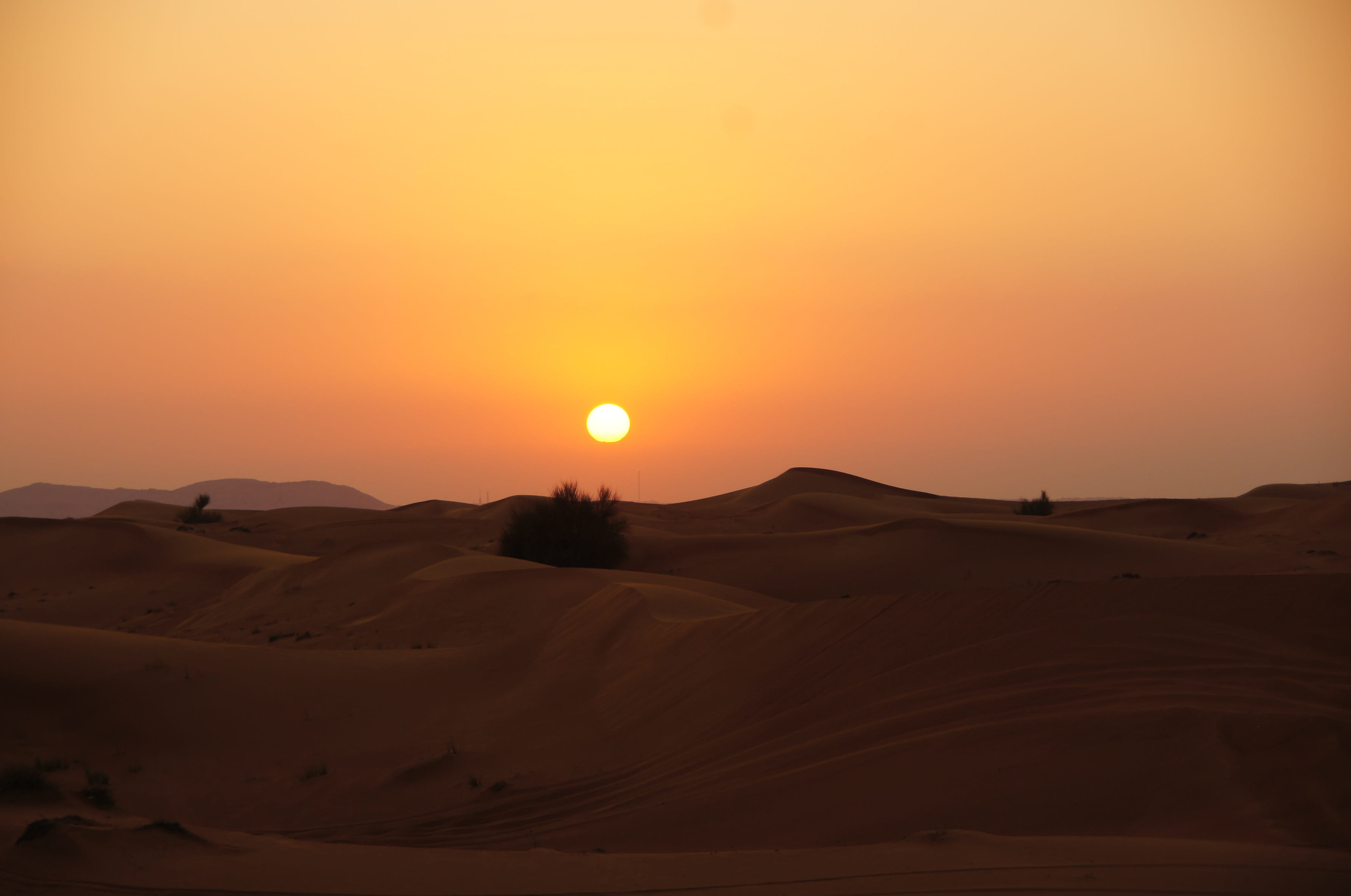 atmospheric, landscape, dry, golden, Desert, climate, sunlight, dunes, hour, non-urban scene, Sand Dunes, sand, beauty In Nature, land, sand Dune, hot, HD Wallpaper