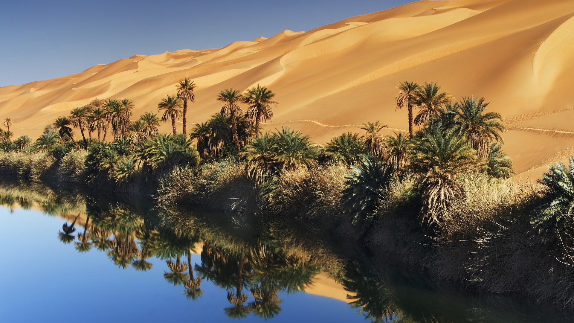1080P, tropical, libya, nature, desert, art, hd, deserts, HD Wallpaper