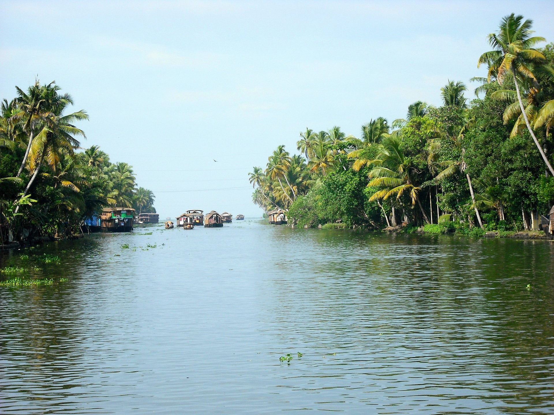 houseboats, tranquil scene, water, green color, tranquility, tropical Climate, beauty in nature, tree, nautical vessel, day, river, boats, india, palm tree, HD Wallpaper
