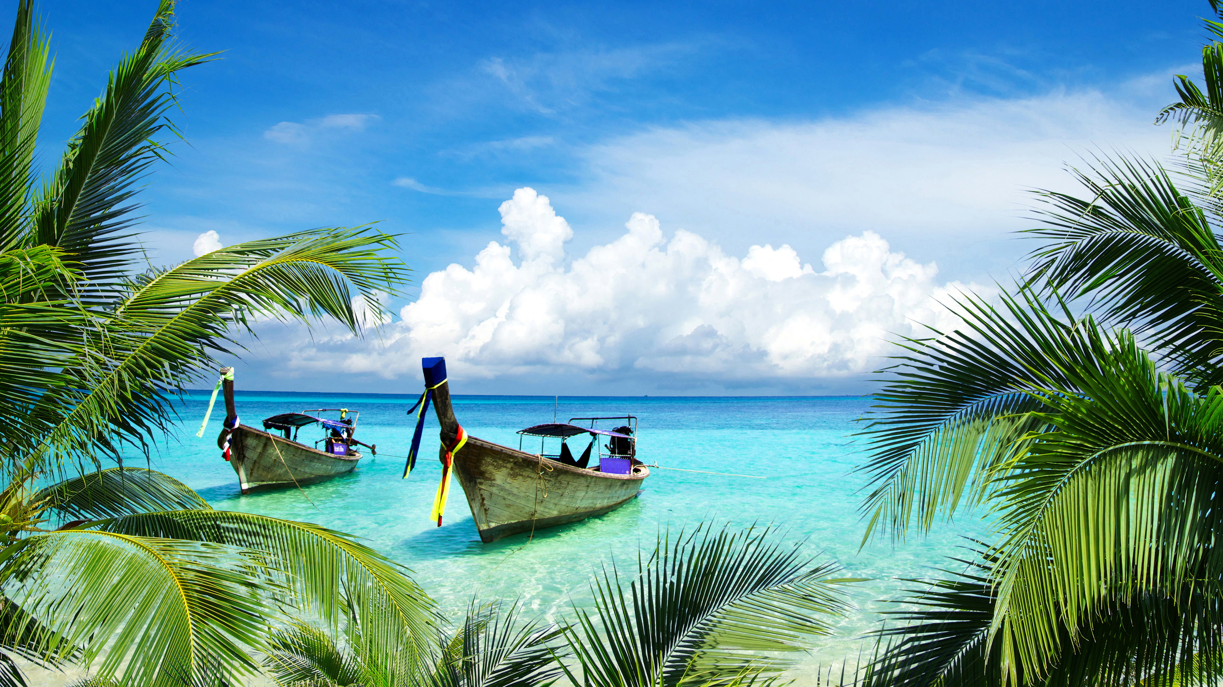 4K, Tropical Beach, Boats, Island, 4K, Coconut trees, HD Wallpaper