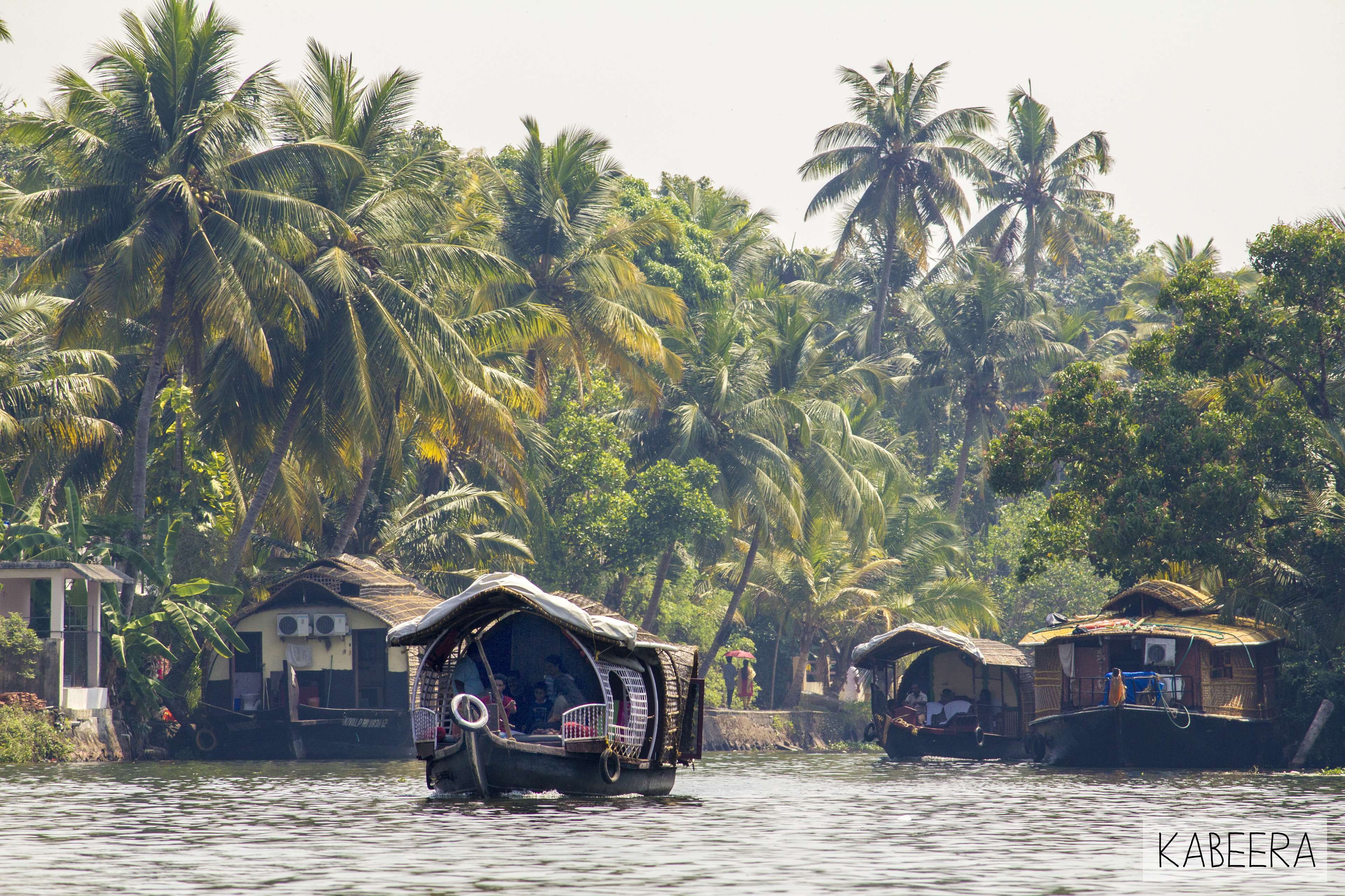 transportation, waterfront, no people, kumarakom, built structure, water, kerala, 4K, growth, mode of transportation, lake, houseboats, coconut palm tree, HD Wallpaper