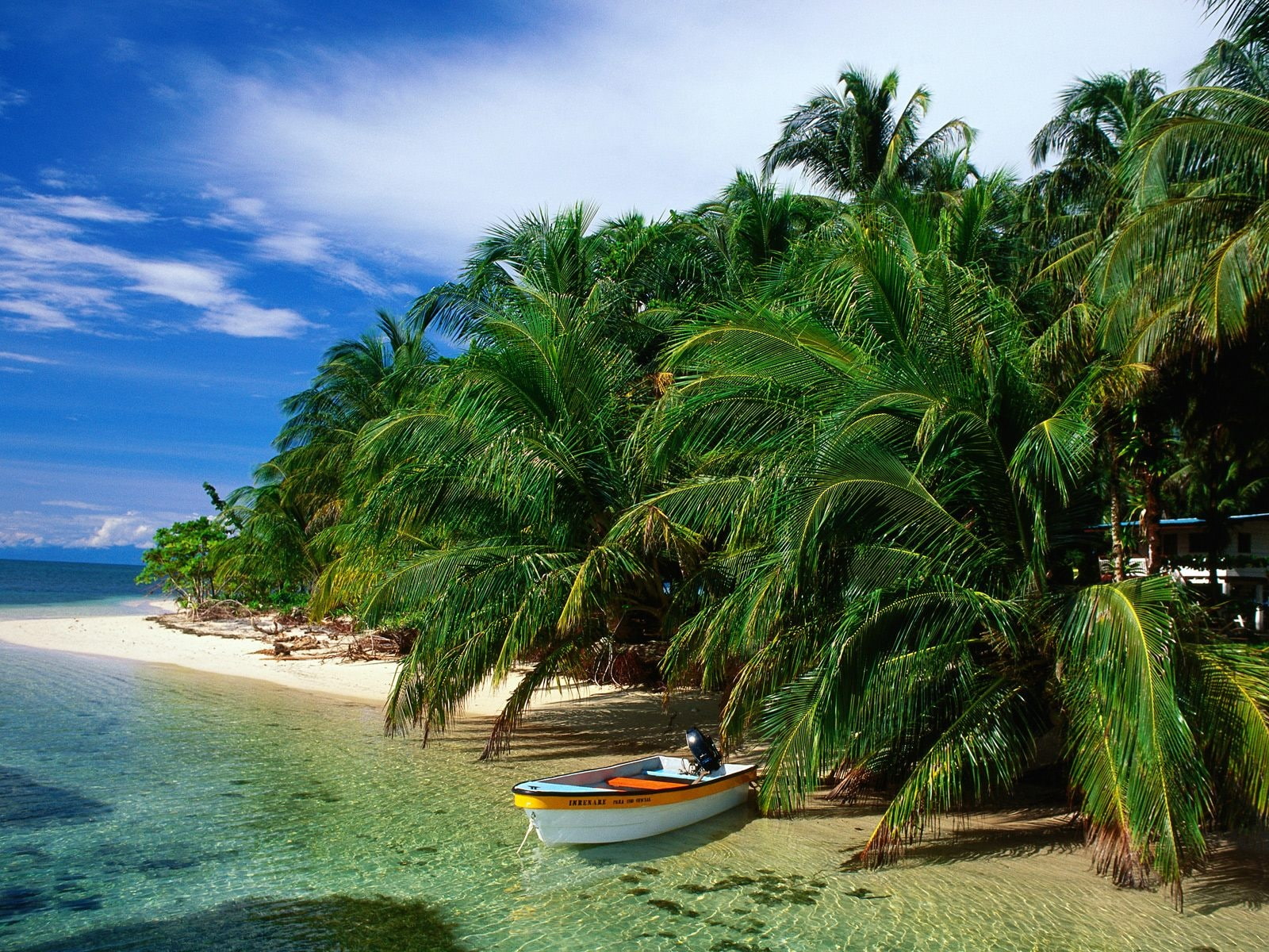 Boat, 720P, Coconut, palm, green, Trees, Beach, HD Wallpaper
