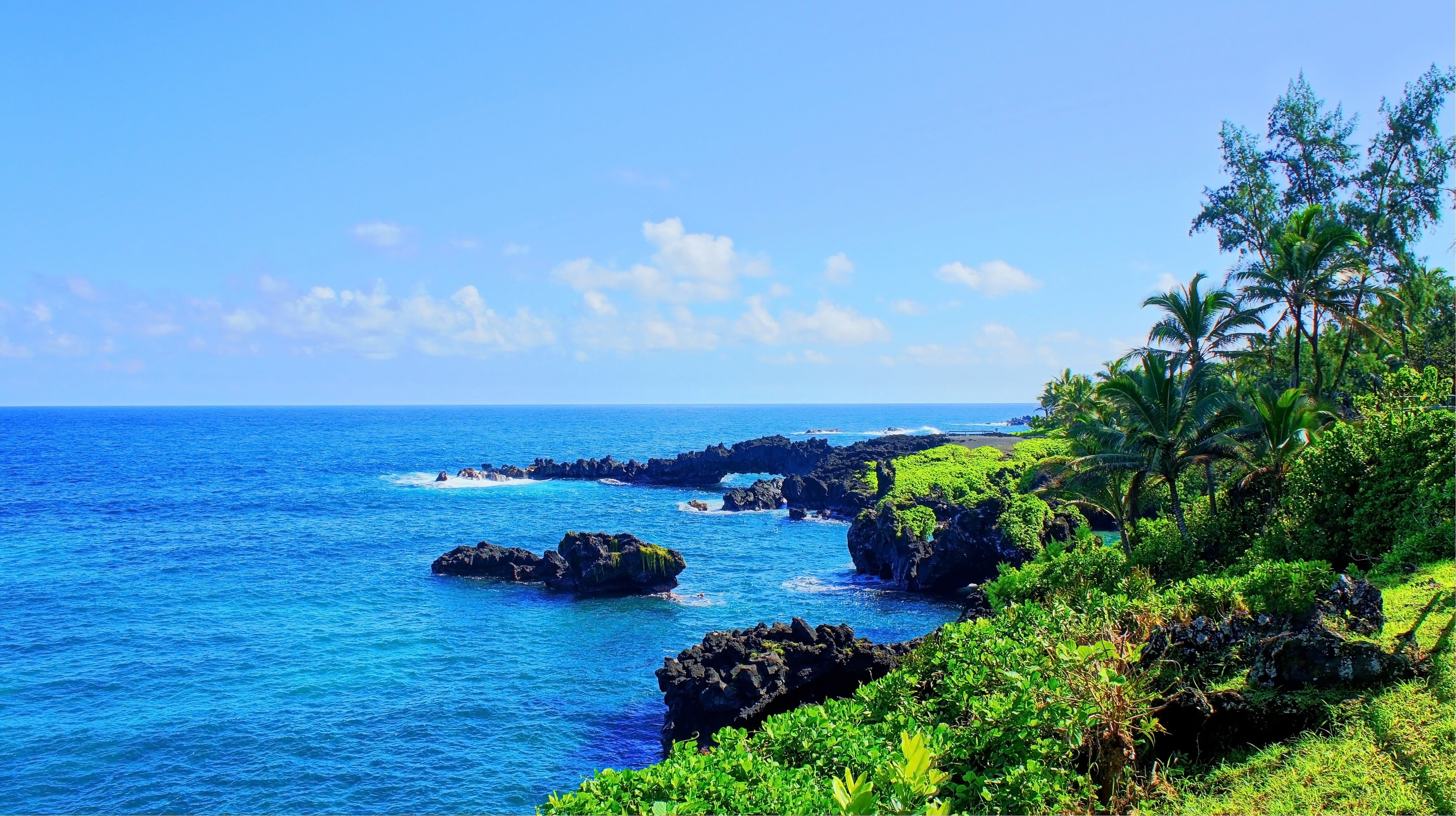 water, horizon, tropical water, outdoors, isle of Maui, blue, nature, tranquil scene, 4K, Maui, Hawaii, sky, palm trees, scenics - nature, plant, land, HD Wallpaper