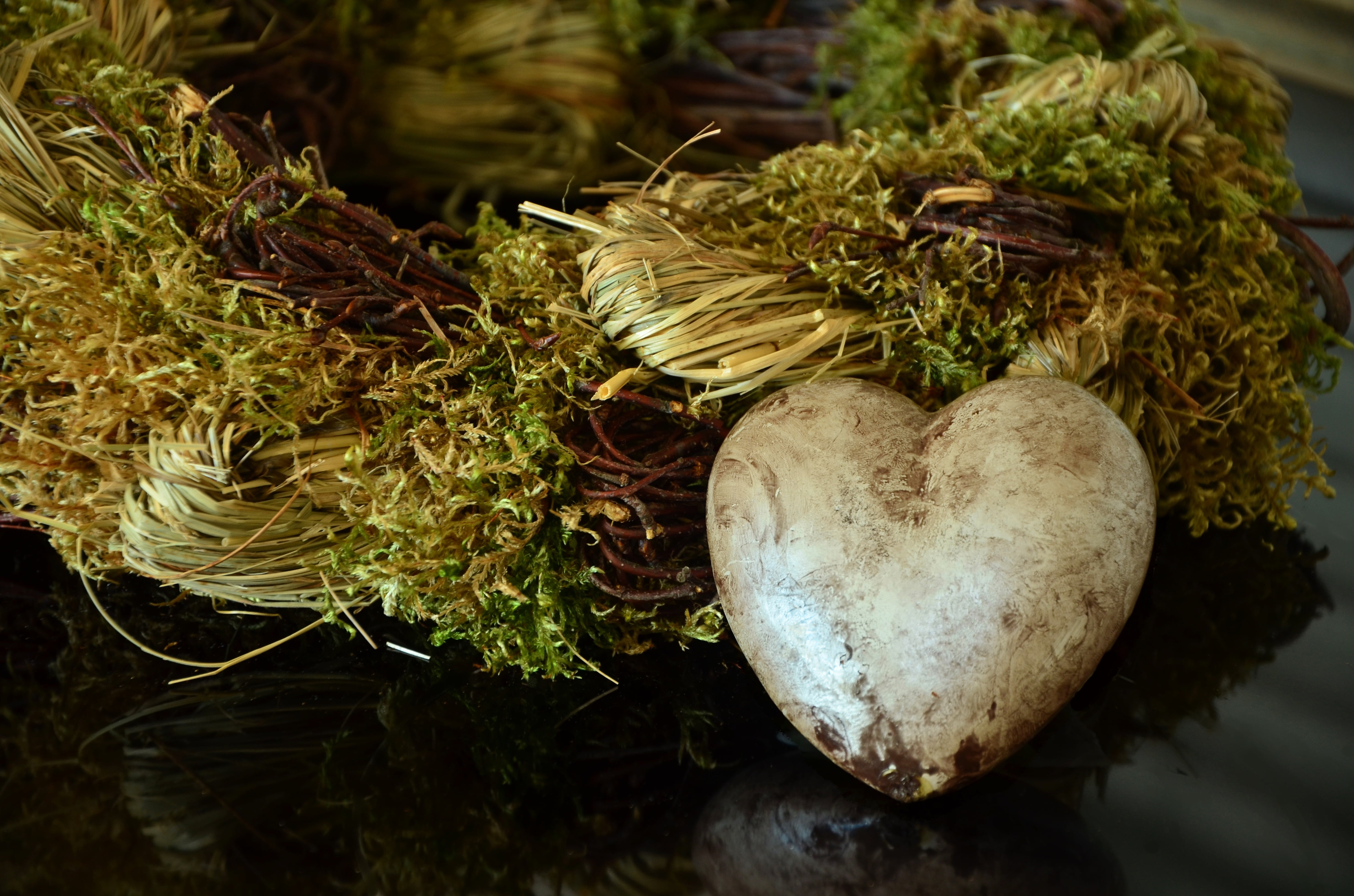 growth, vegetable, selective focus, silver heart, wellbeing, green, trauerkarte, nature, close-up, food, plant, wreath, heart, autumn, 4K, organic, decoration, HD Wallpaper