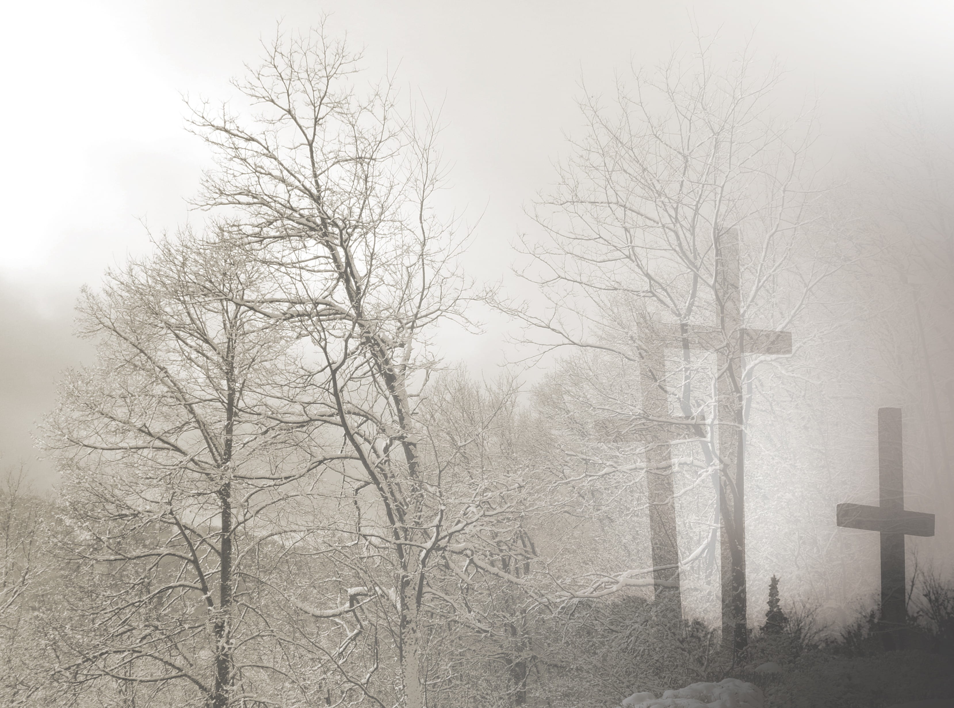 nature, outdoors, mourning, condolences, fog, bare tree, trees, grayscale, trauerkarte, snow, cold temperature, snowing, beauty in nature, faith, land, HD Wallpaper
