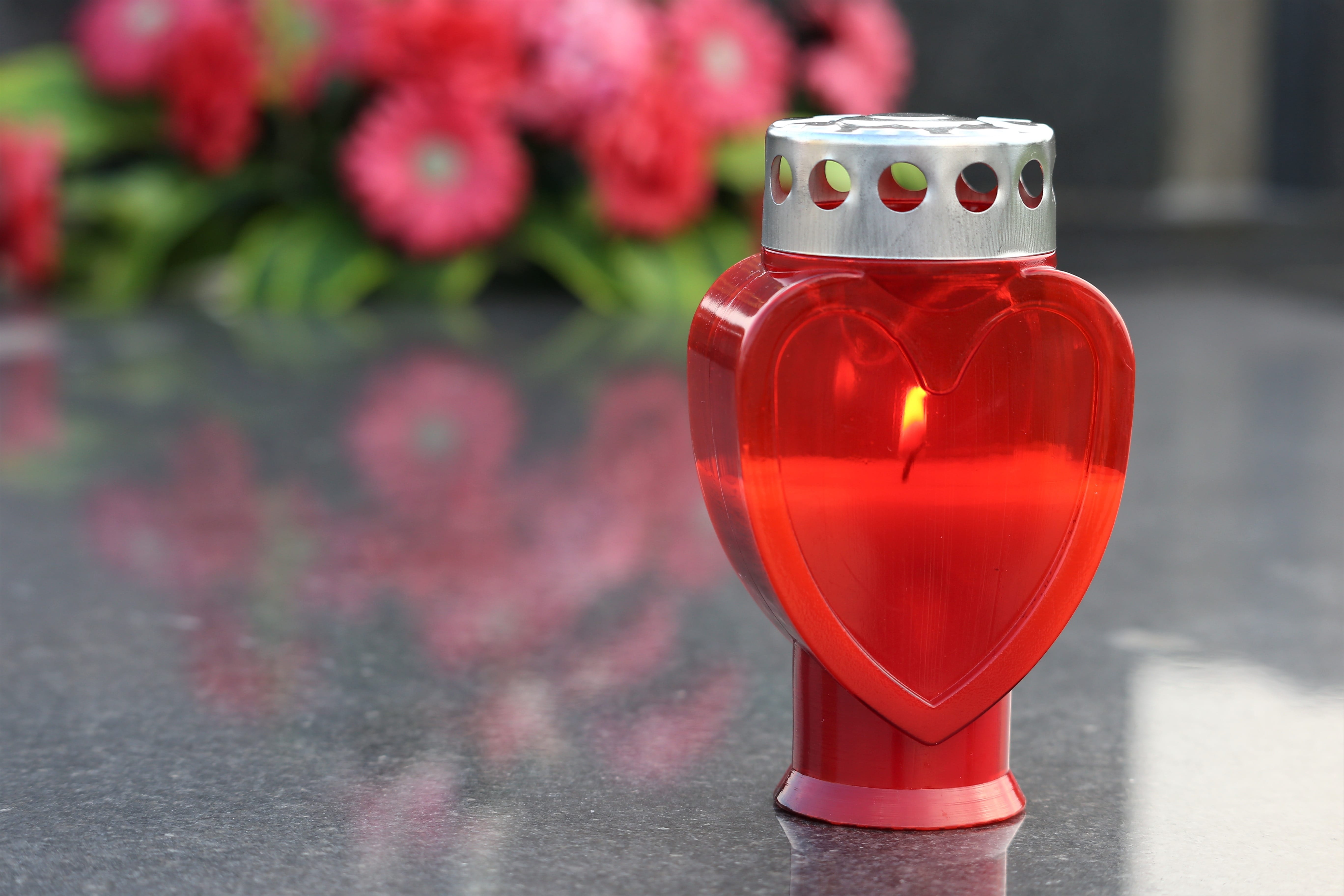 flower, flowering plant, condolence, day, no people, table, outdoors, red, grave, symbol, art and craft, decoration, 5K, plant, heart, flowers, food and drink, HD Wallpaper