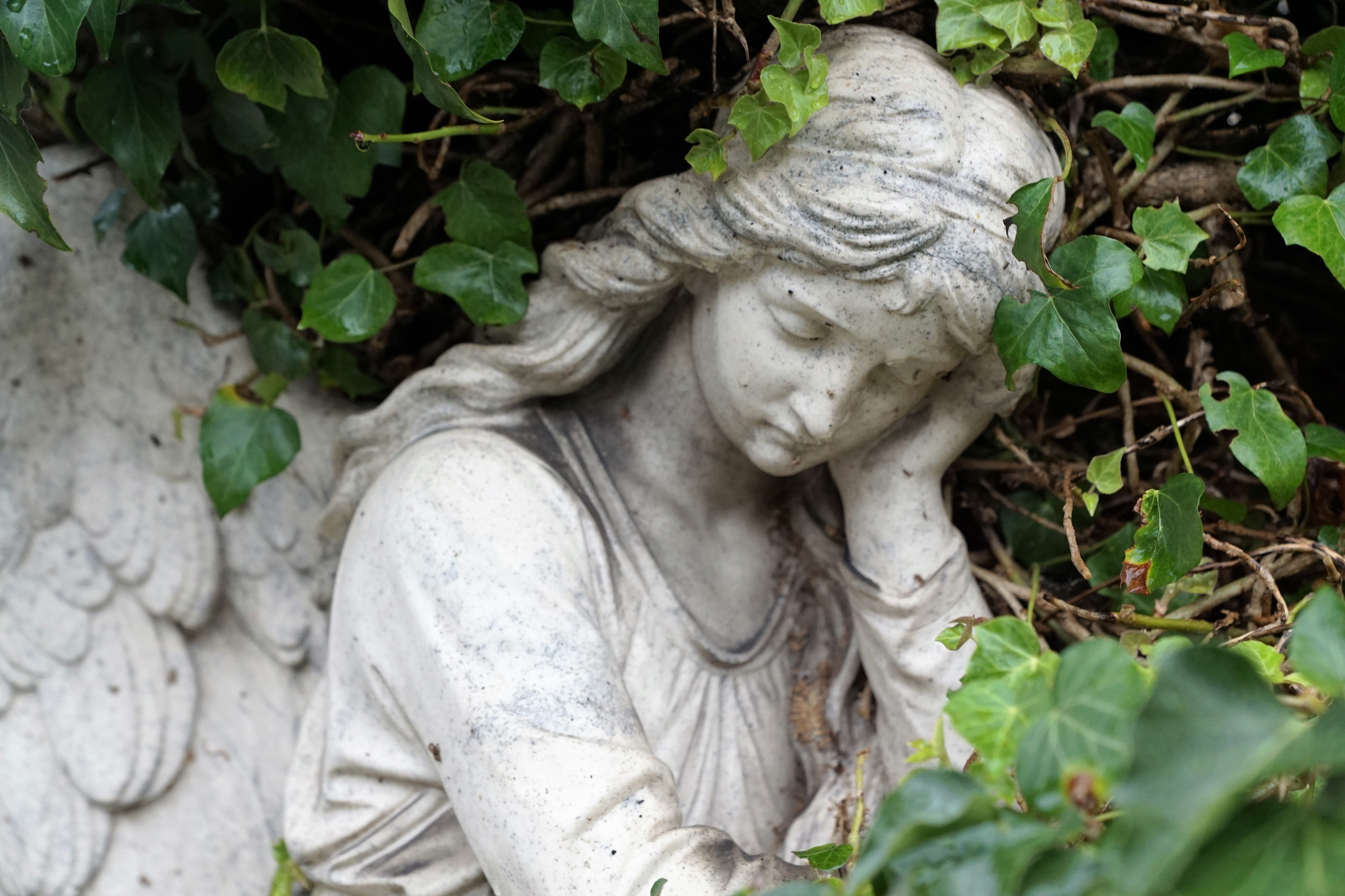 religion, resurrection, wing, holidays, prayer, plant part, bible, art and craft, christian, heavenly, no people, nature, holy, angel, plant, god, cemetery, HD Wallpaper