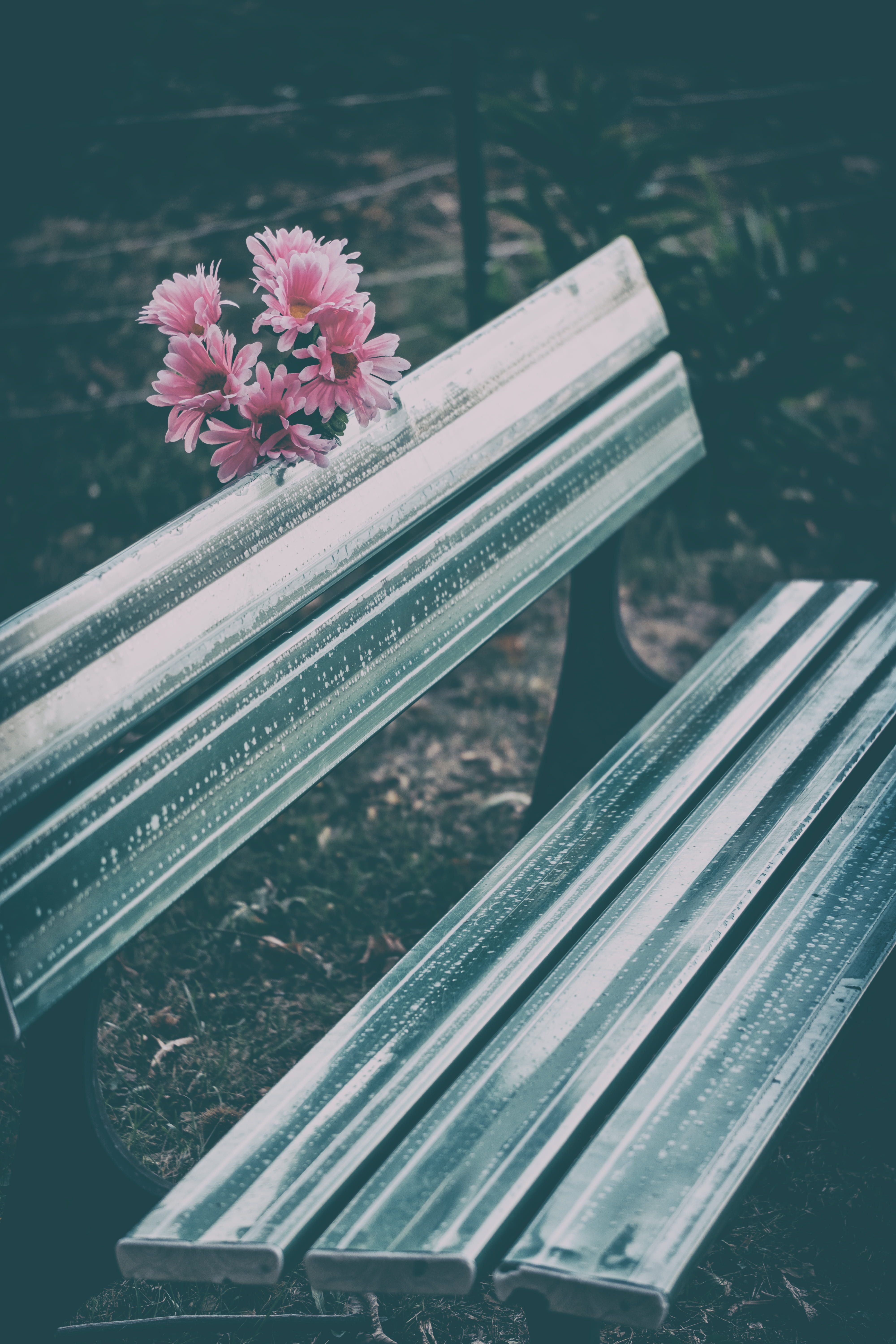 recovery, fragility, park, nature, seat, vulnerability, break, condolences, focus on foreground, farewell, book, bouquet, mourning, beauty in nature, 5K, Phone HD Wallpaper