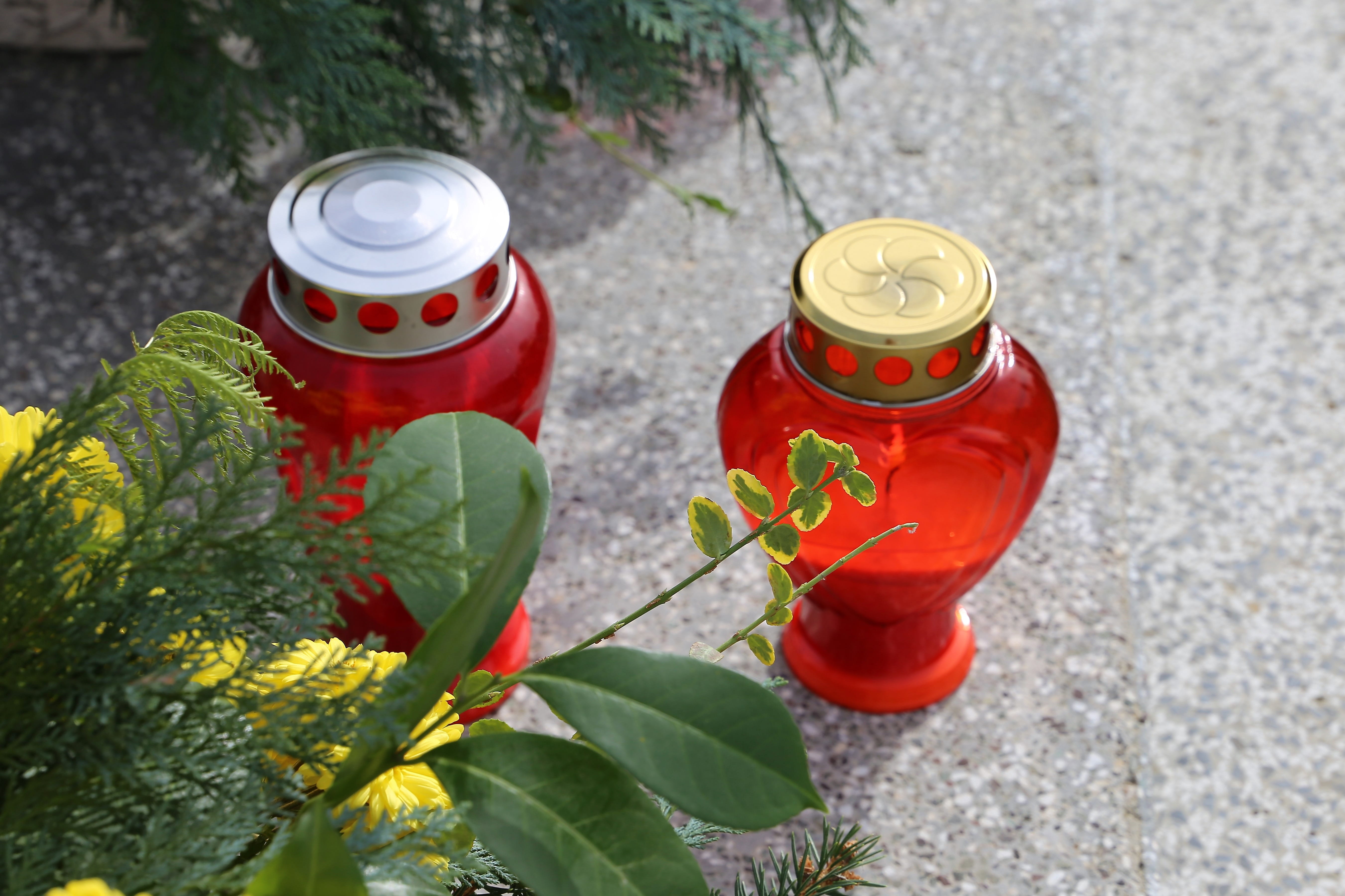 group of objects, metal, plant part, no people, close-up, nature, high angle view, gardening, red candles, plant, condolence, flowering plant, red, 5K, HD Wallpaper