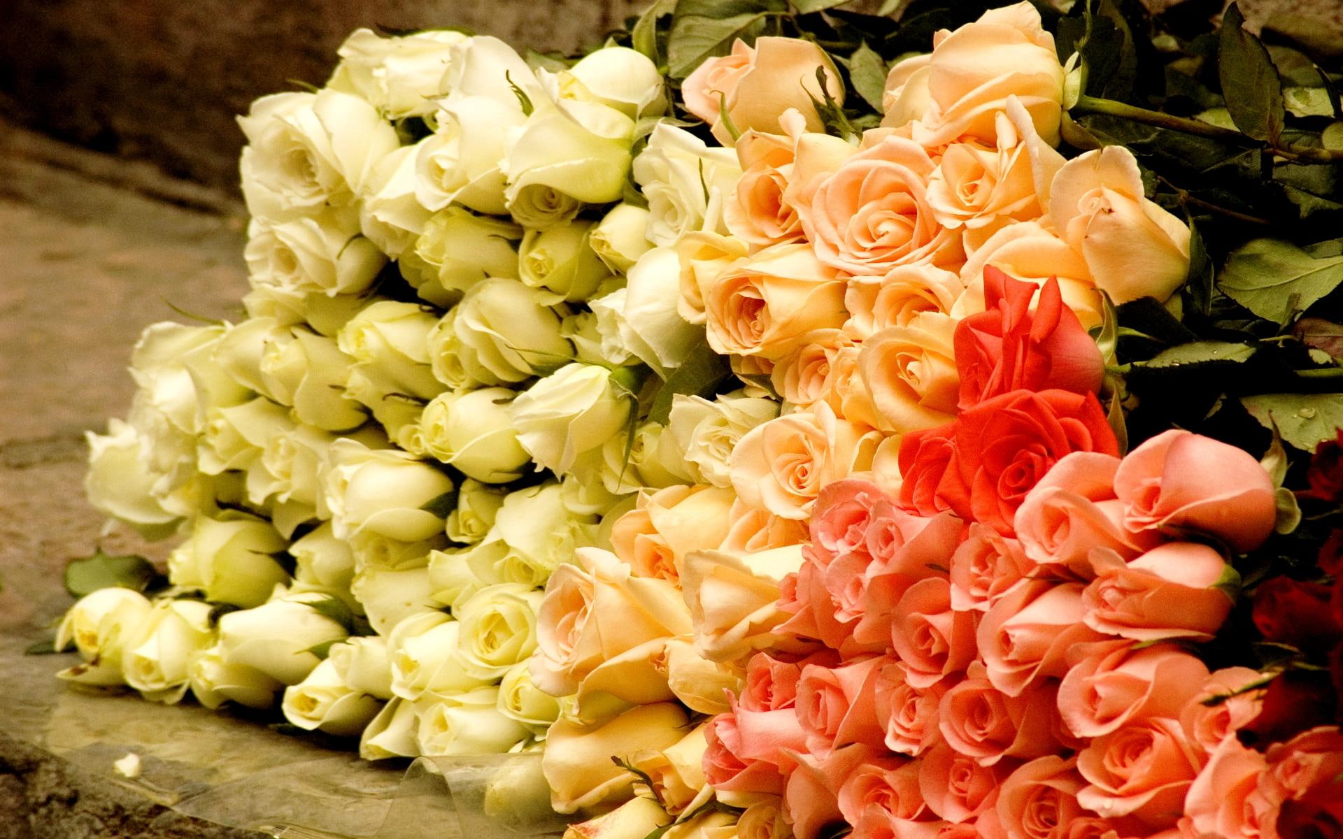 message, tribute, mariano, 3d and abstract, sympathy, sorrow, mel, 1080P, HD Wallpaper