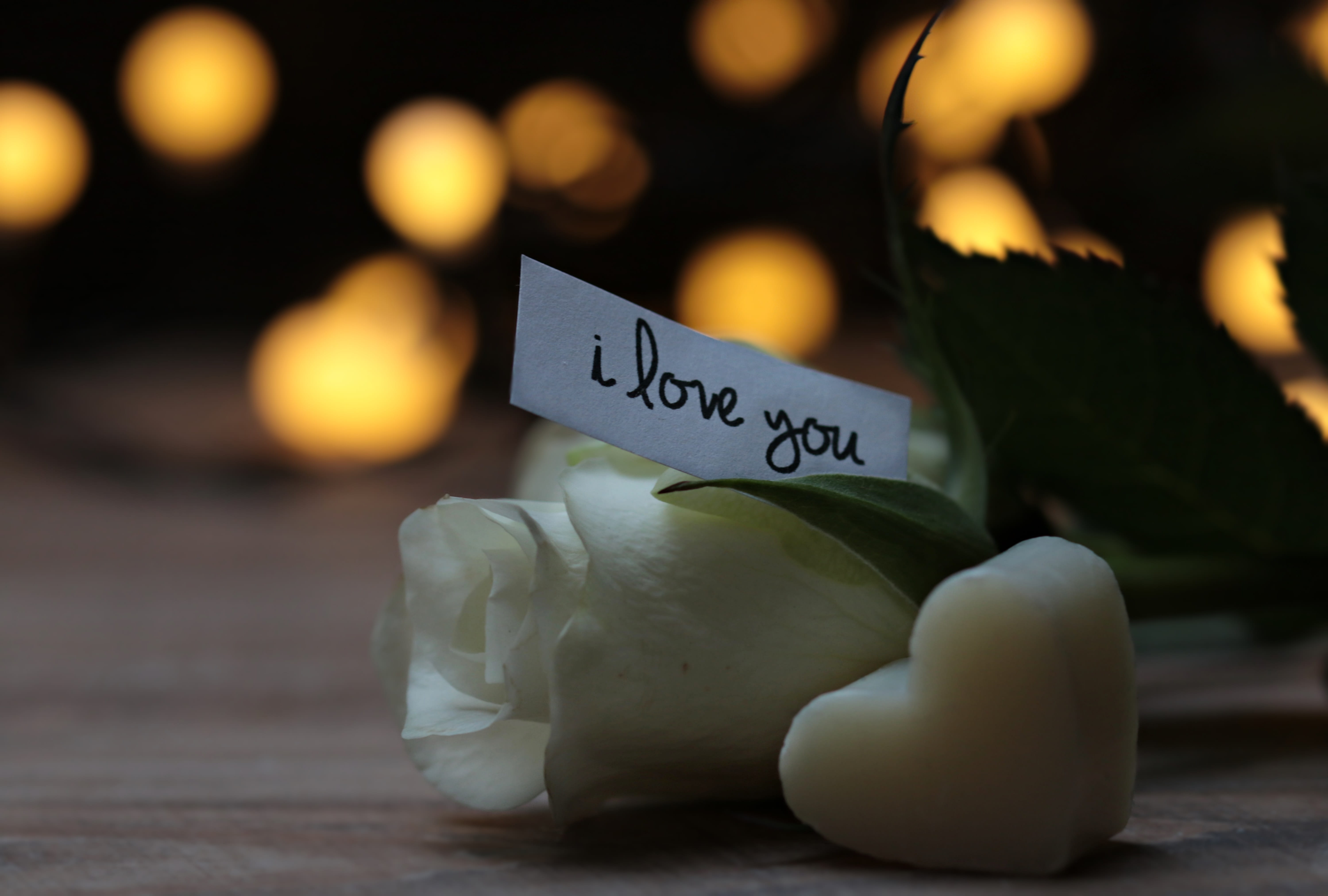 floribunda, outdoors, paper, nature, light, atmospheric, valentines day - holiday, freshness, night, blossom, flower, mothers day, 5K, holiday - event, HD Wallpaper