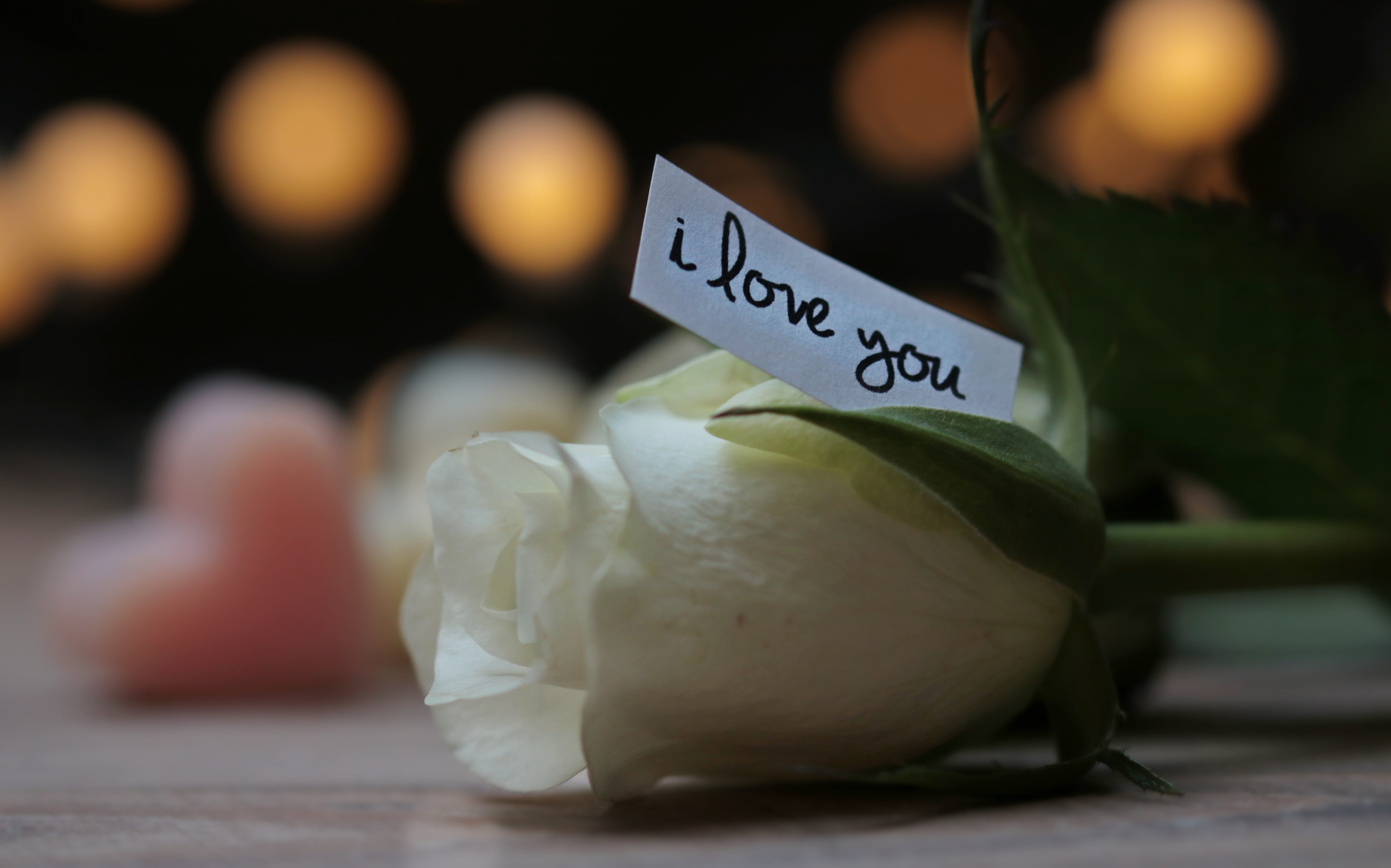 nature, retail, text, lights, table, freshness, field, atmospheric, mothers day, paper, black background, food and drink, focus on foreground, florist, HD Wallpaper