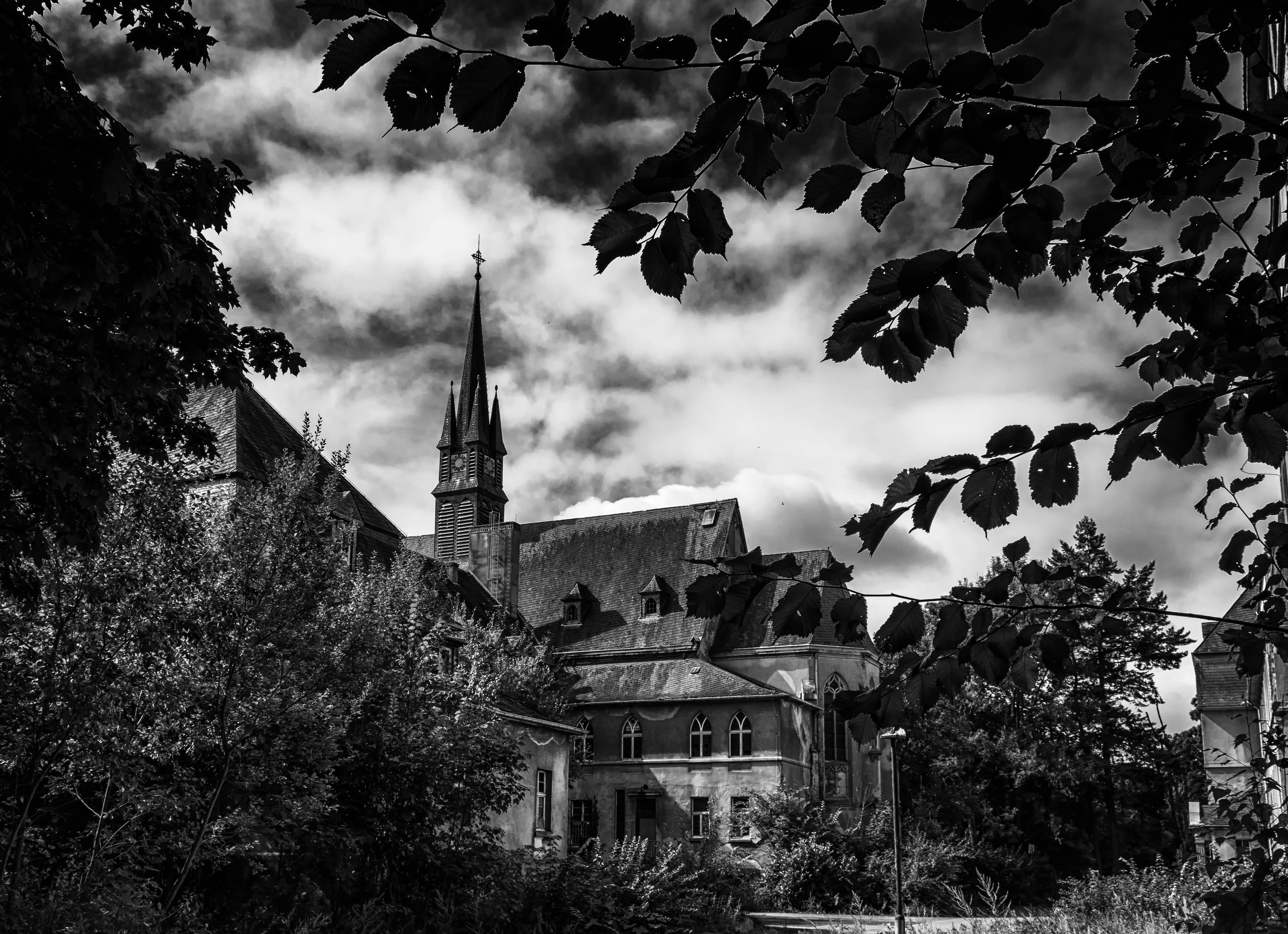 growth, building, photo, dark, magic, architecture, 4K, plant, no people, hospital, place of worship, house, fear, steeple, nightmare, the past, franciscan, HD Wallpaper