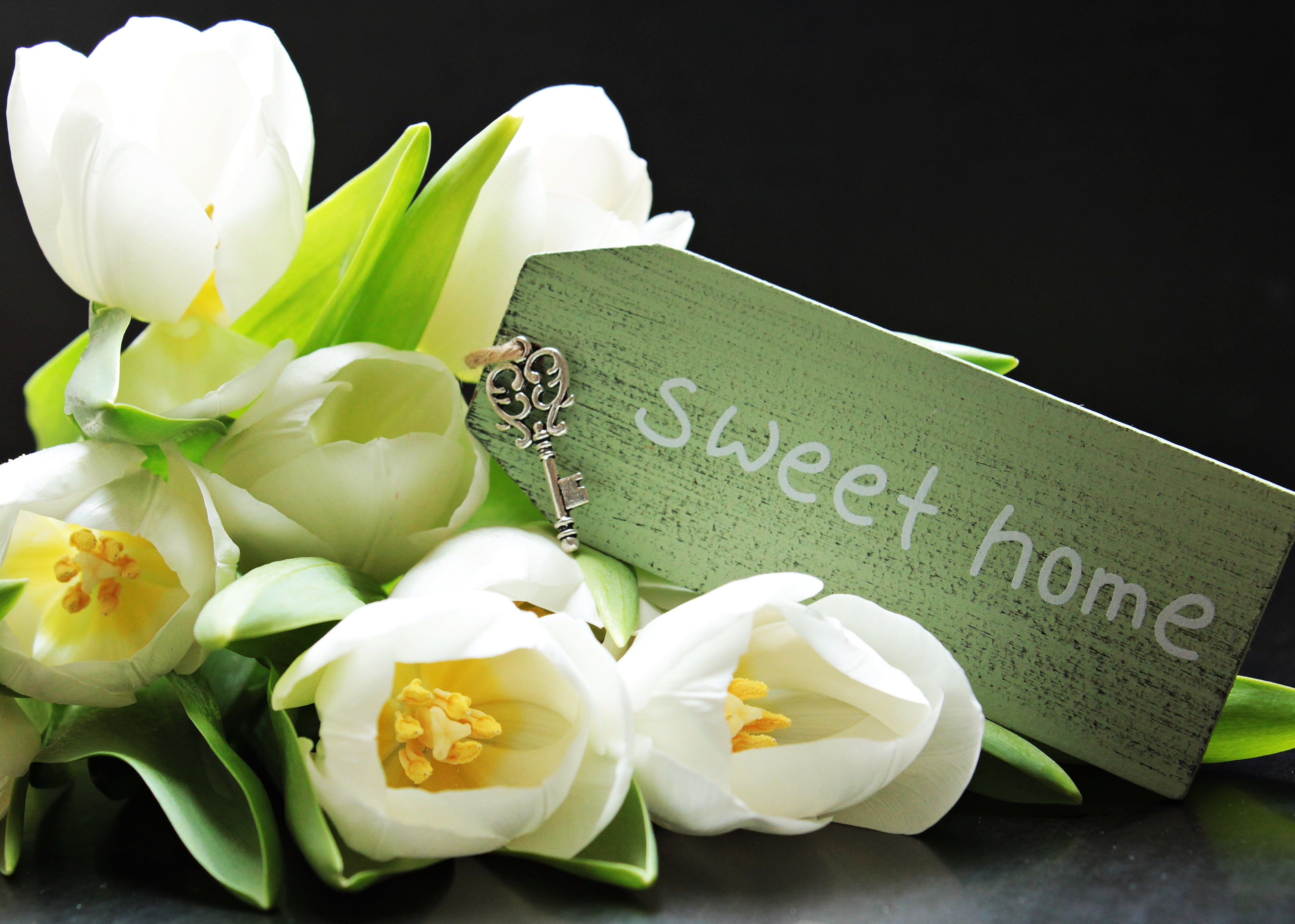 give away, green, ornamental flower, bouquet, labeled, card, freshness, plant, flora, bouquet of flowers, frühlingsanfang, tenderness, concerns, beauty, HD Wallpaper