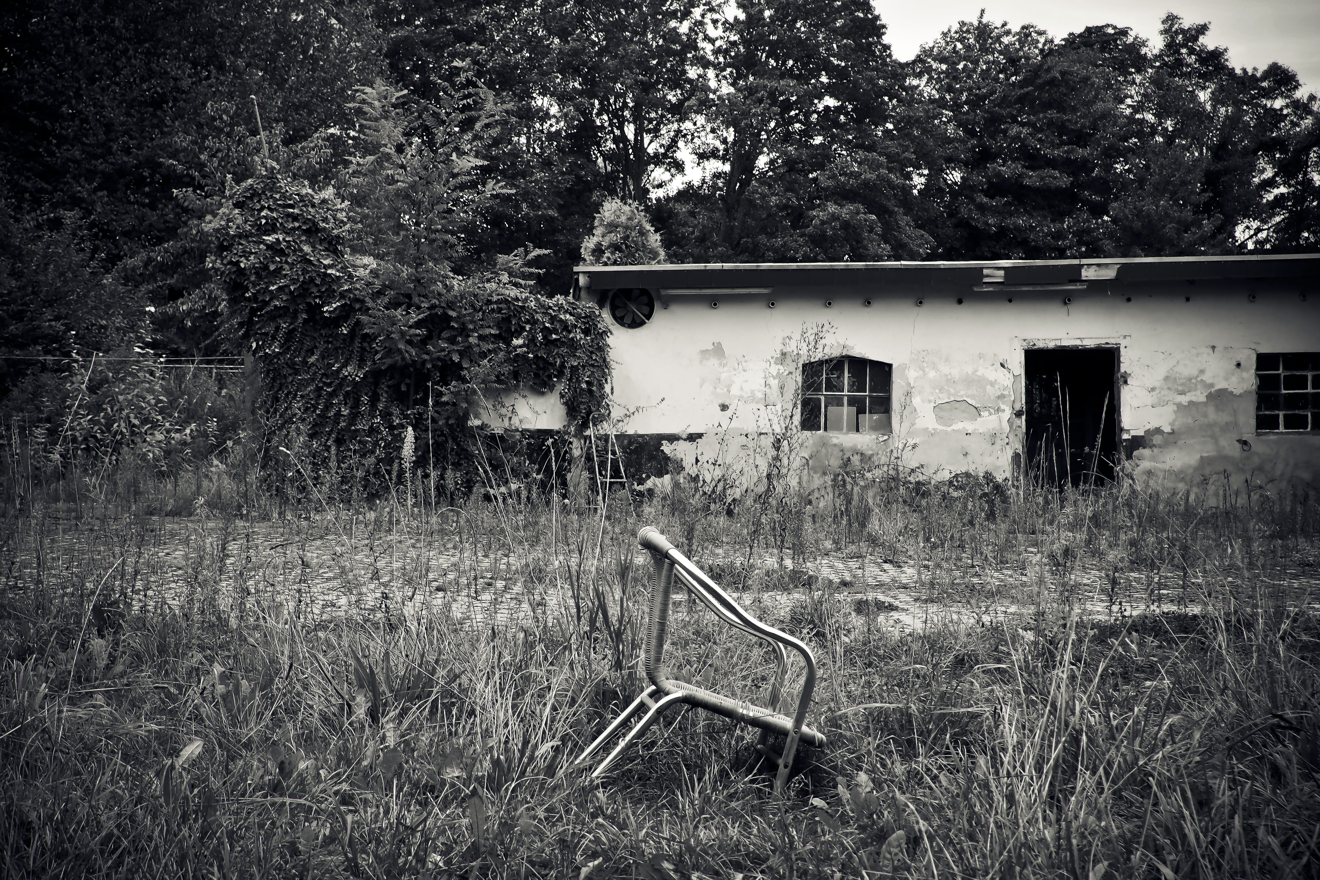field, obsolete, grass, barn, old building, tree, no People, gloomy, lost places, transience, Lost, growth, plant, mysterious, scale, weird, atmosphere, HD Wallpaper
