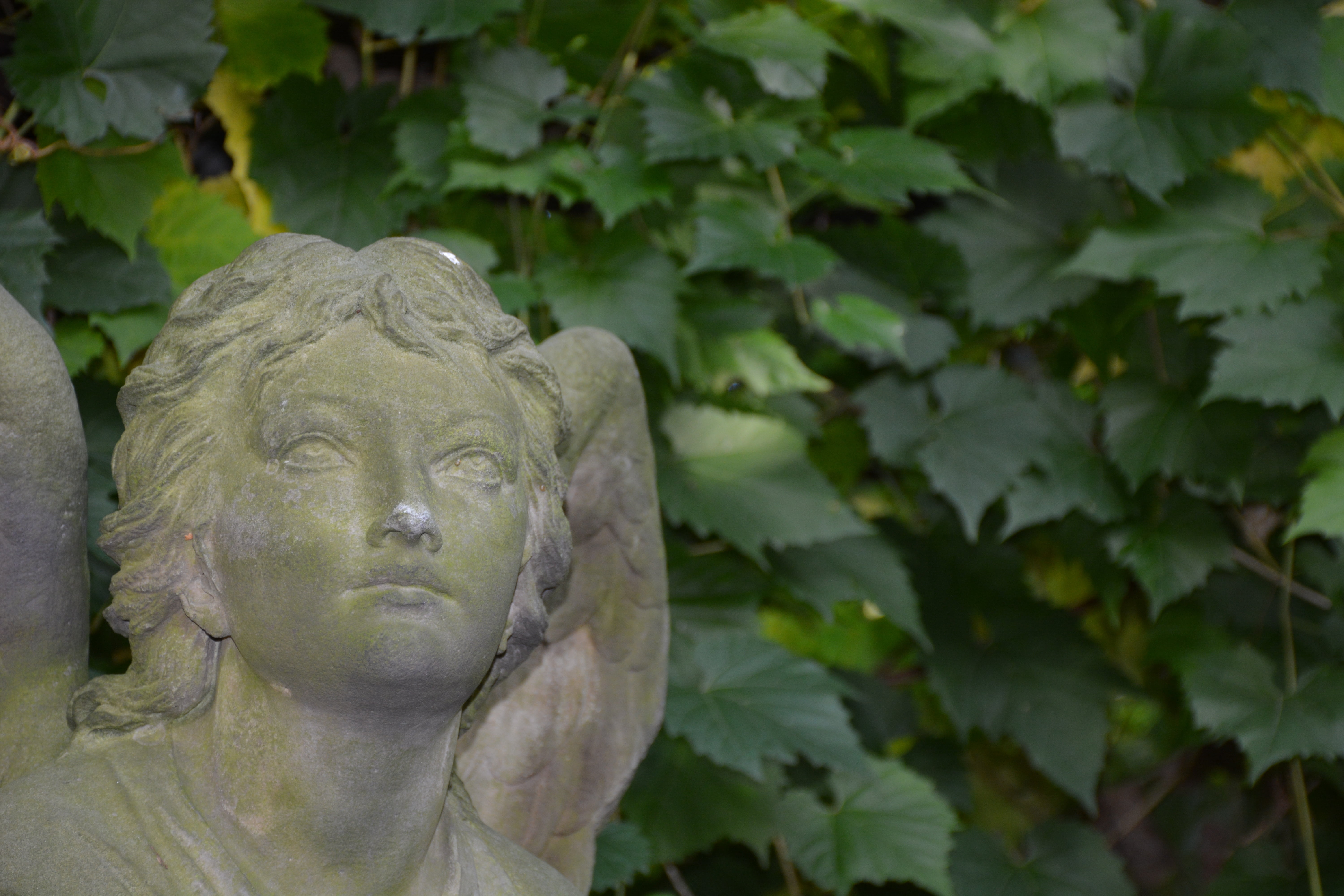 belief, silent, white, concrete, sadness, condolences, tomb, harmony, tombstone, day, cemetery, green color, sculpture, potsdam, nature, angel figure, human representation, HD Wallpaper