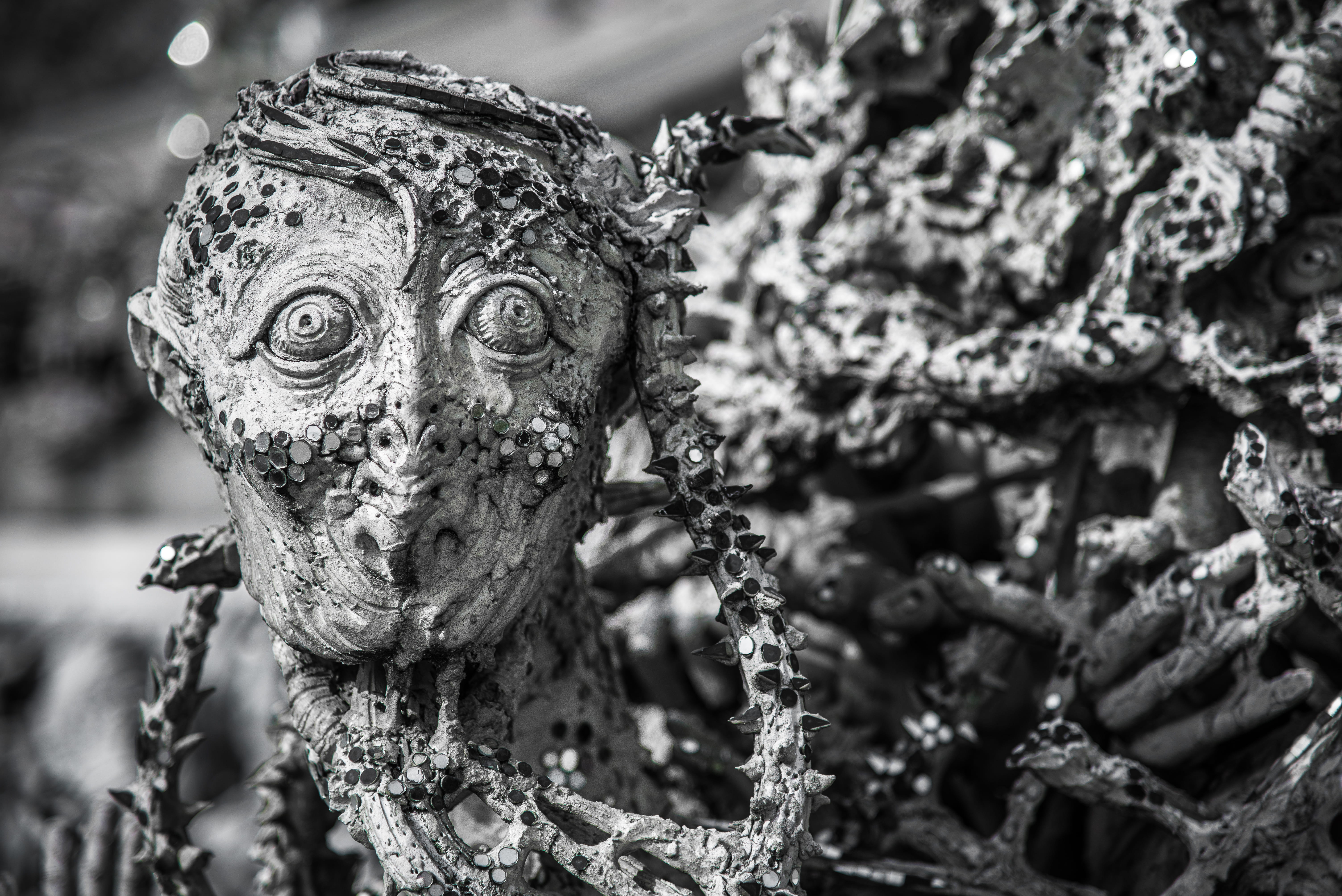 black and white, nature, belief, 5K, focus on foreground, believe, selective focus, merit, craft, fear, day, passed away, die, outdoors, growth, hell, HD Wallpaper
