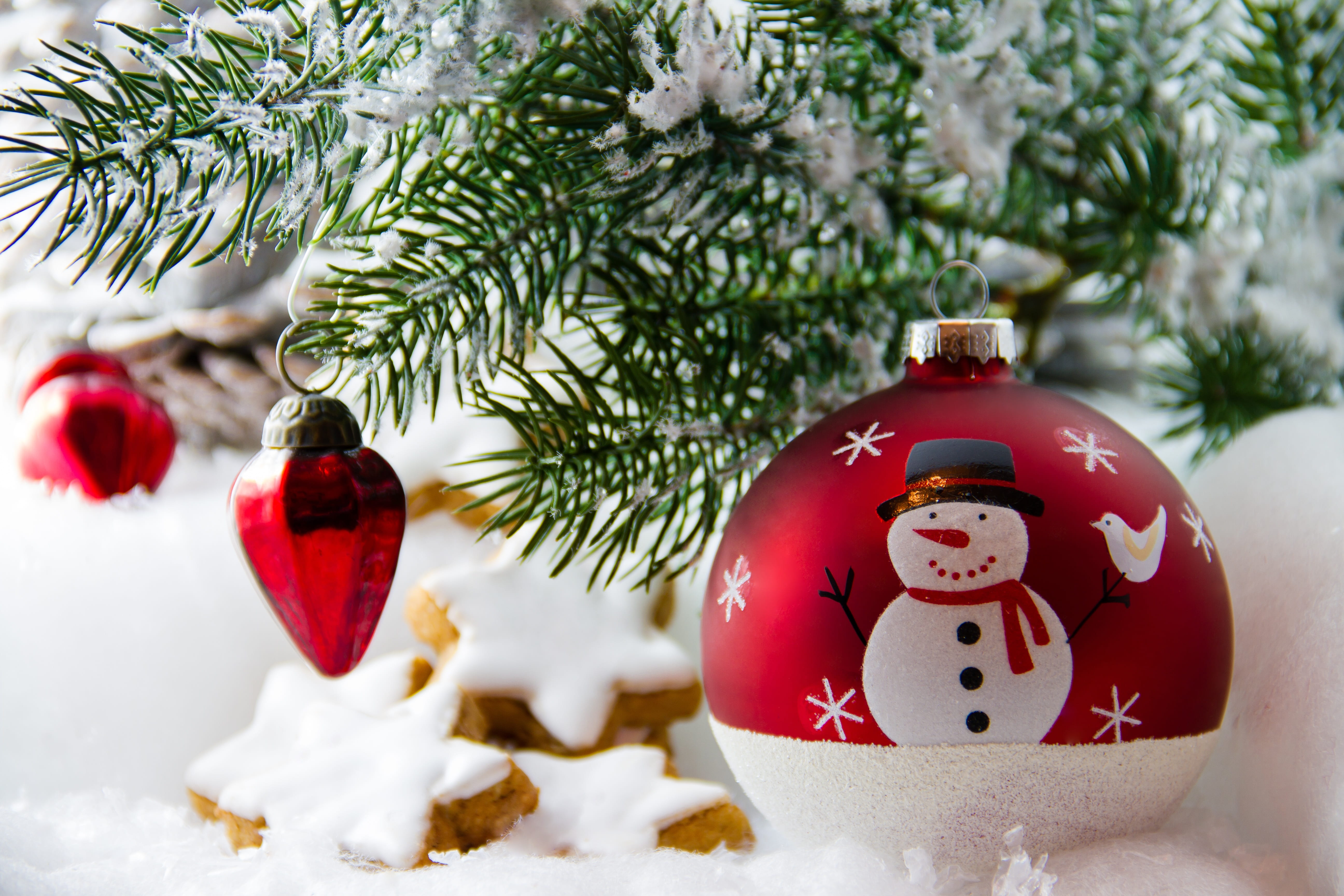 christmas time, decoration, advent, cold temperature, fir tree, christmas ornaments, snow, cookie, holiday - event, red, nature, tree, coniferous tree, HD Wallpaper