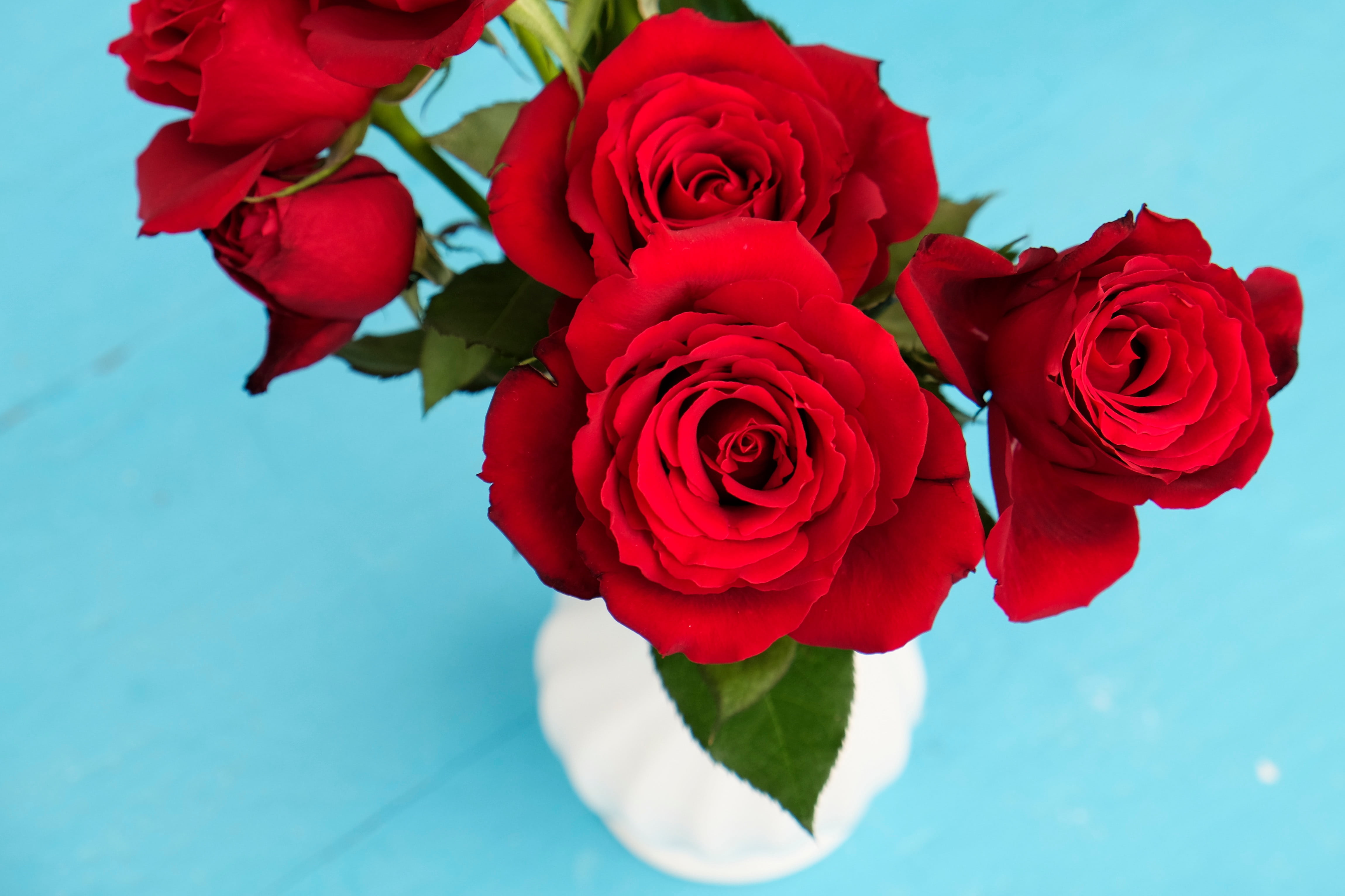 beauty in nature, inflorescence, red, outdoors, bouquet, vulnerability, rose, vase, fragility, petals, blue, flower head, flower, focus, bunch of flowers, HD Wallpaper