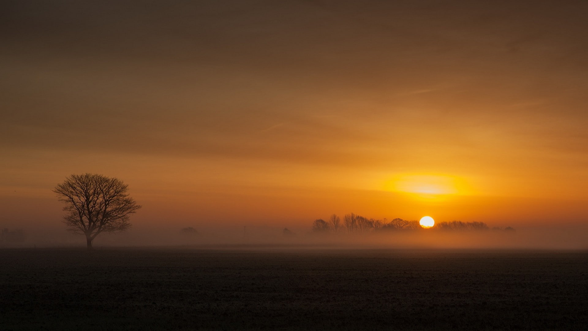 sky, field, silhouette, forest, trees, Sun, nature, morning, 1080P, mist, horizon, landscape, branch, clouds, HD Wallpaper