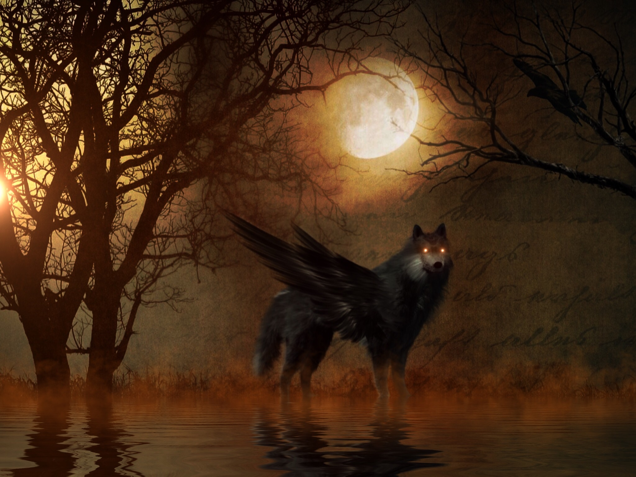 waterfront, tree, nature, pets, vertebrate, no people, domestic, full, moon, shadow, animal themes, atmosphere, calm, dog, domestic animals, mood, lamdschaft, HD Wallpaper