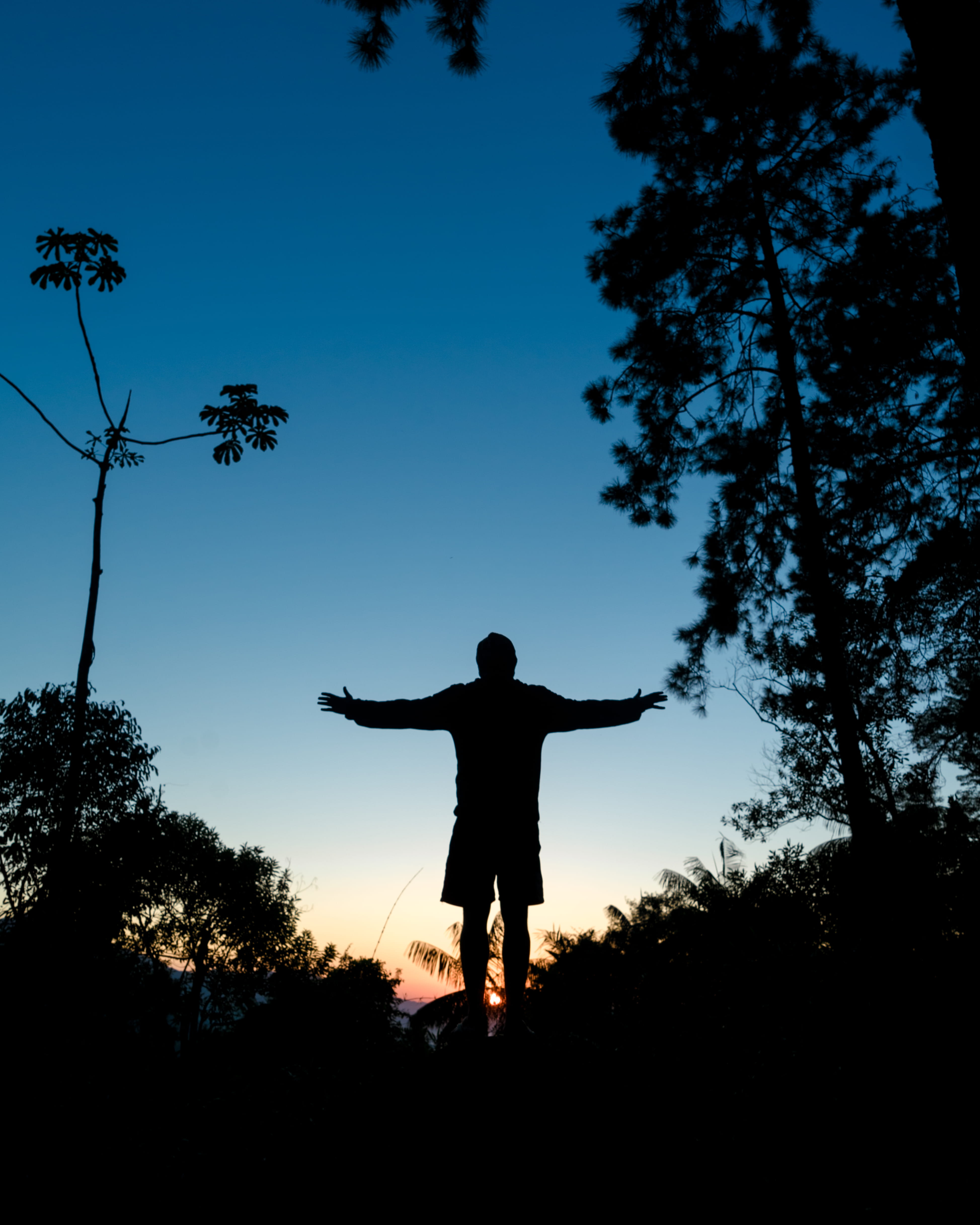 blue, 4K, camping, outdoors, dude, resende, real people, arms raised, leisure activity, growth, brunches, land, boy, field, sky, sun, tree, standing, brazil, Phone HD Wallpaper