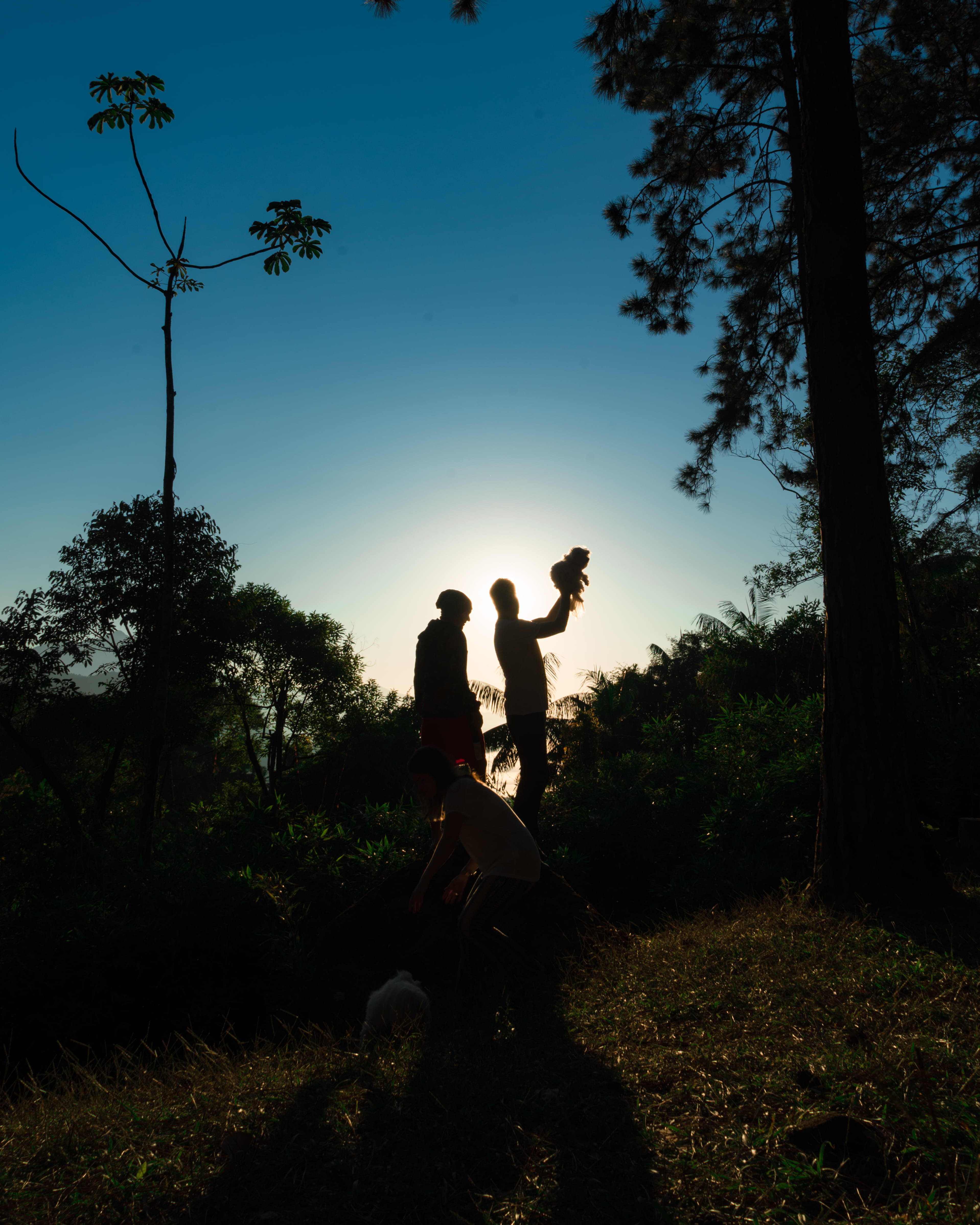 outdoor, dude, couple - relationship, full length, tree, sunrise, brazil, plant, clean, resende, men, sky, sunset, leafs, sitting, trees, two people, black, Phone HD Wallpaper