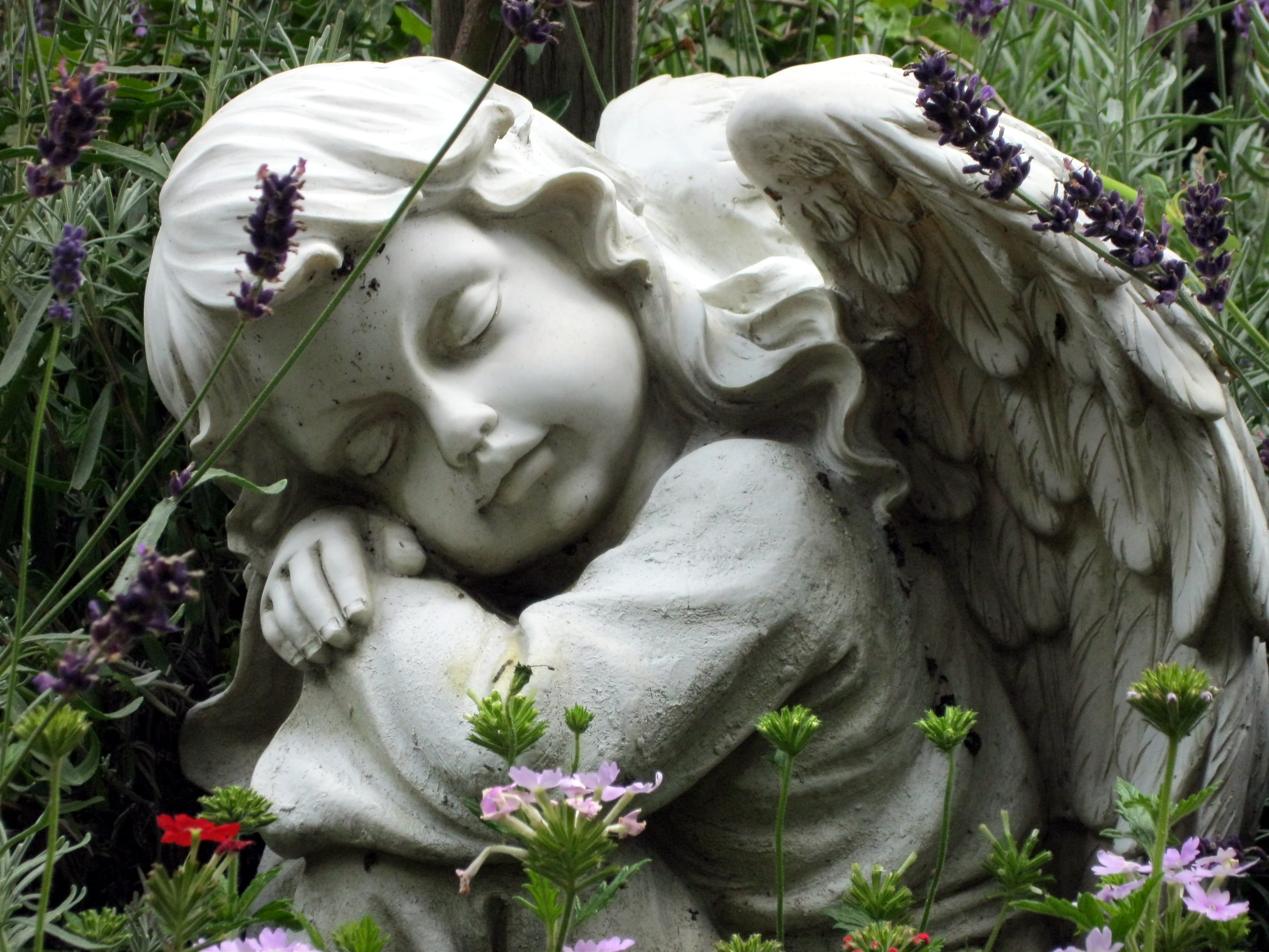 art and craft, spirituality, day, flowering plant, outdoors, close-up, mourning, nature, no people, craft, memorial, angel figure, female likeness, sculpture, HD Wallpaper